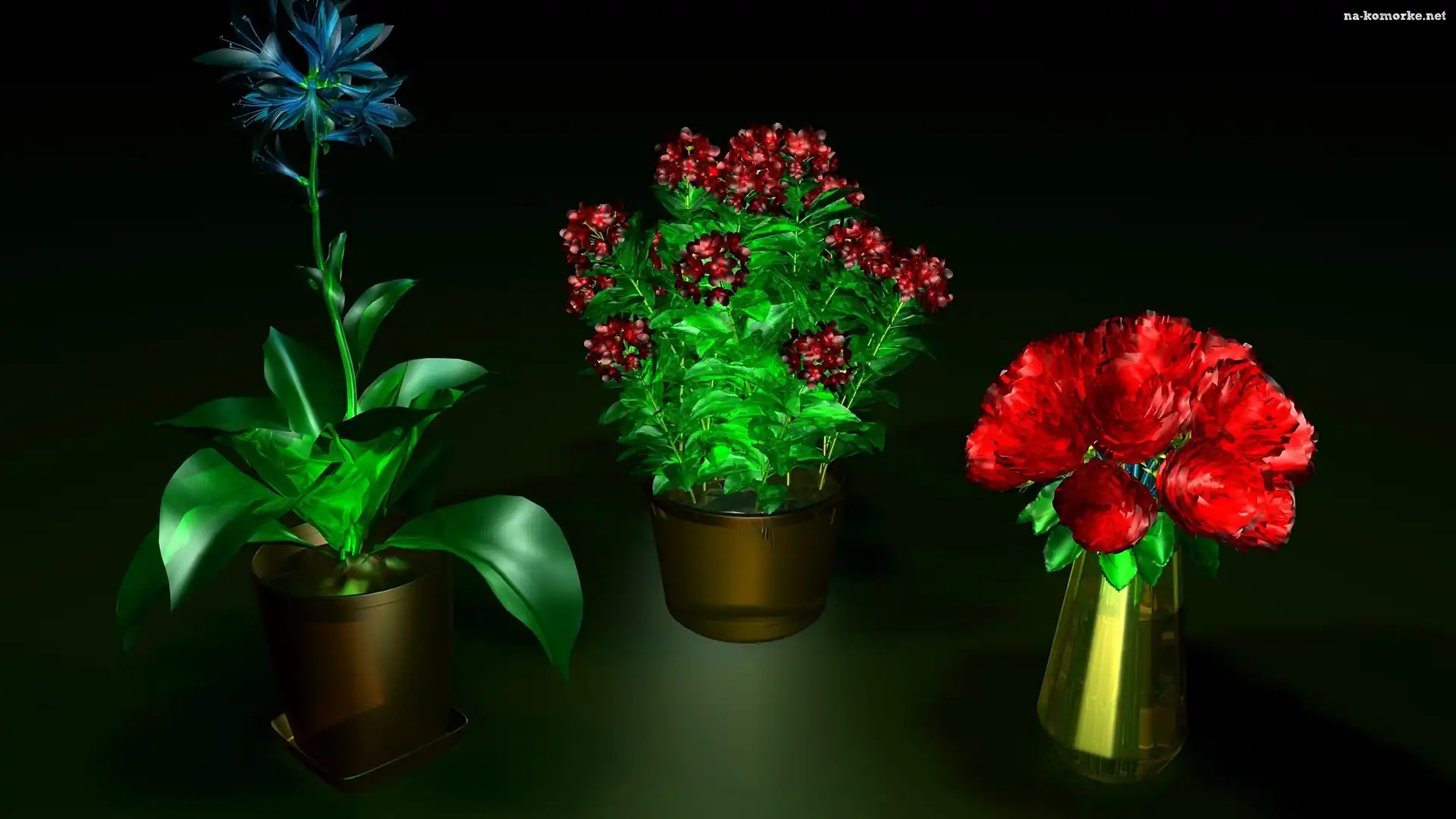 Kolorowe, Kwiaty, Grafika 3D