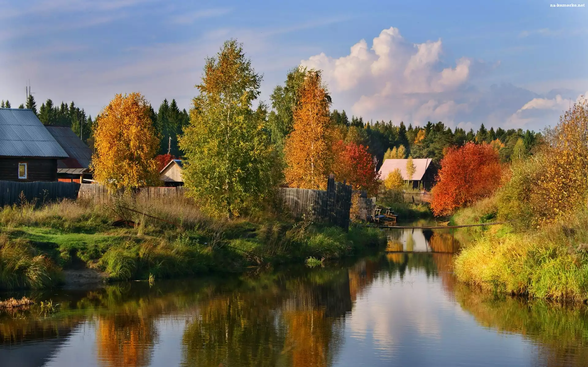 Kolorowe, Zabudowania, Rzeczka, Jesień, Las, Drzewa