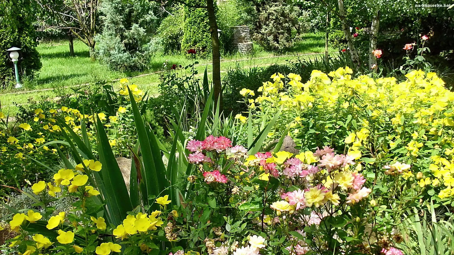 Park, Kolorowe, Kwiaty
