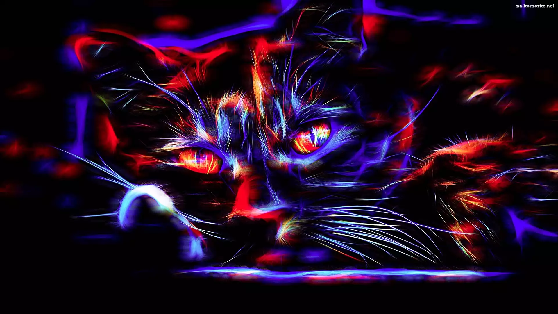 Kolorowy, Grafika, Kot, Fractalius