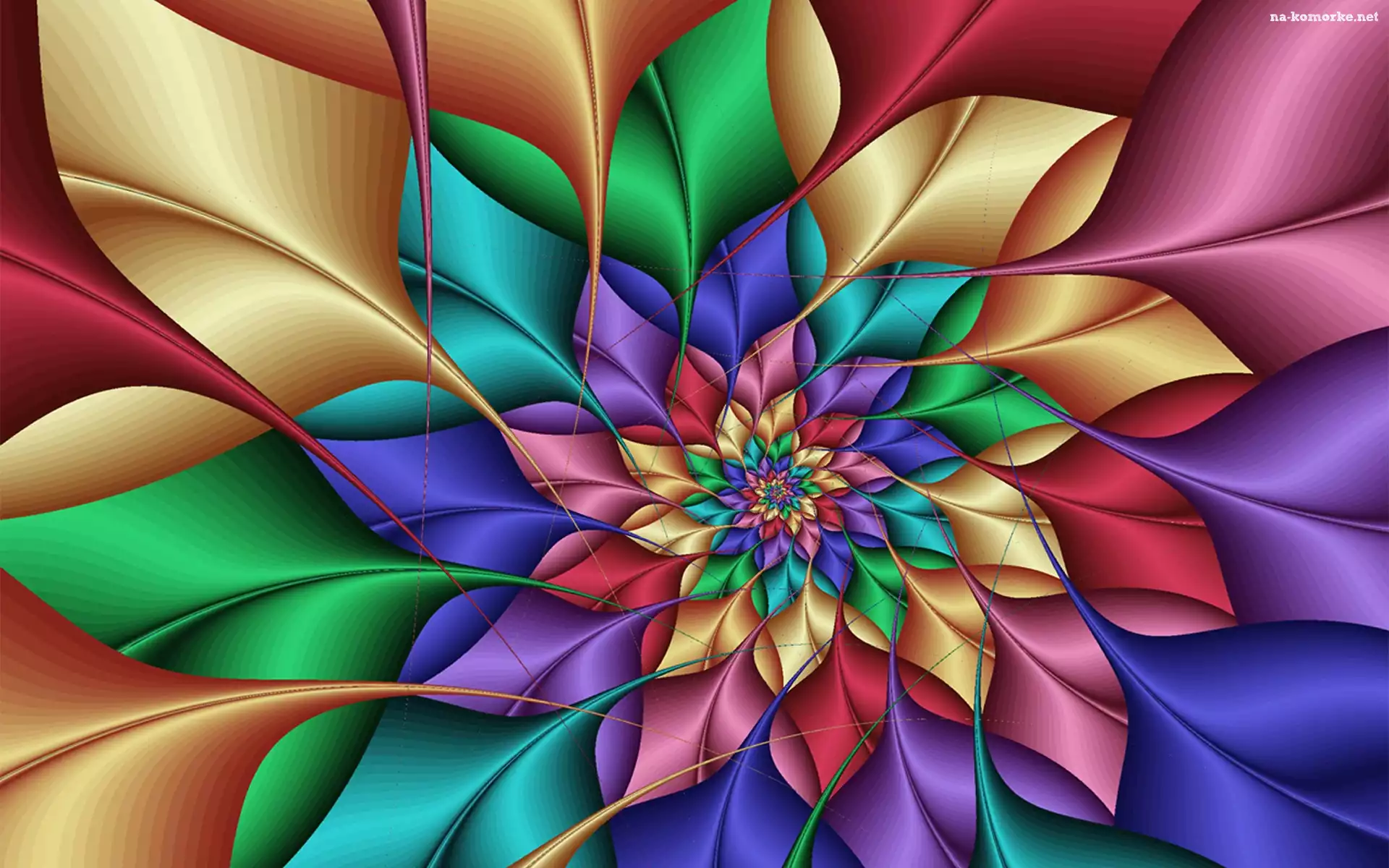 Kolorowy, Grafika, Kwiat, 3D