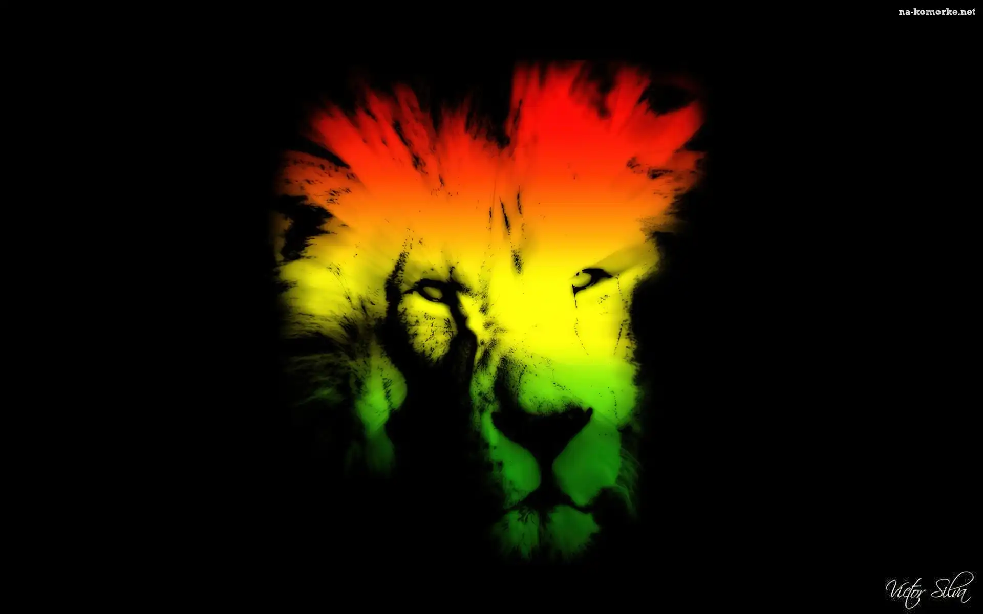 Lew, Kolory, Reggae
