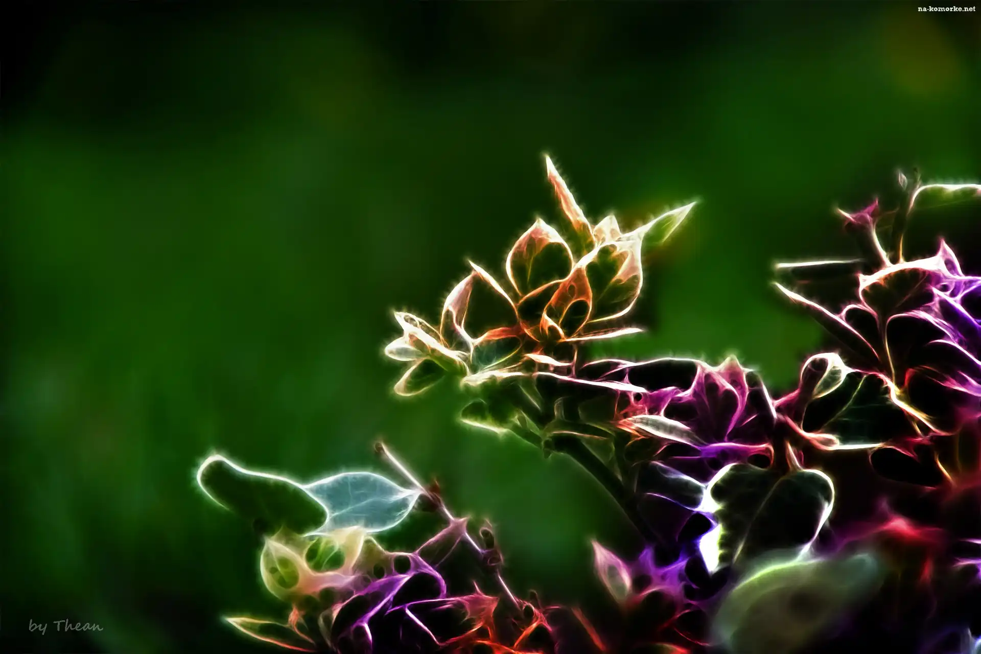 Listki, Kolory Fractalius
