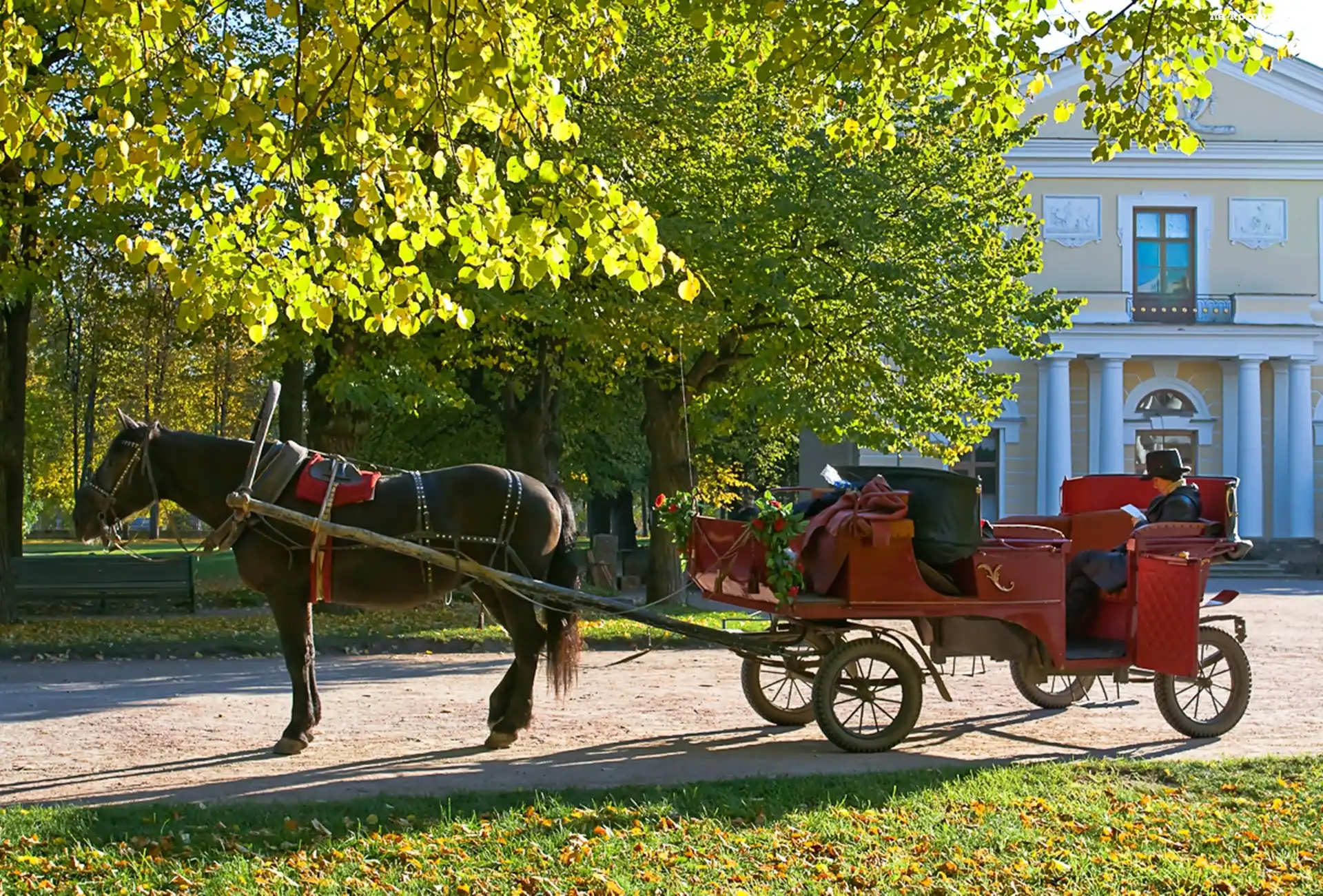 Koń, Dworek, Bryczka, Kobieta