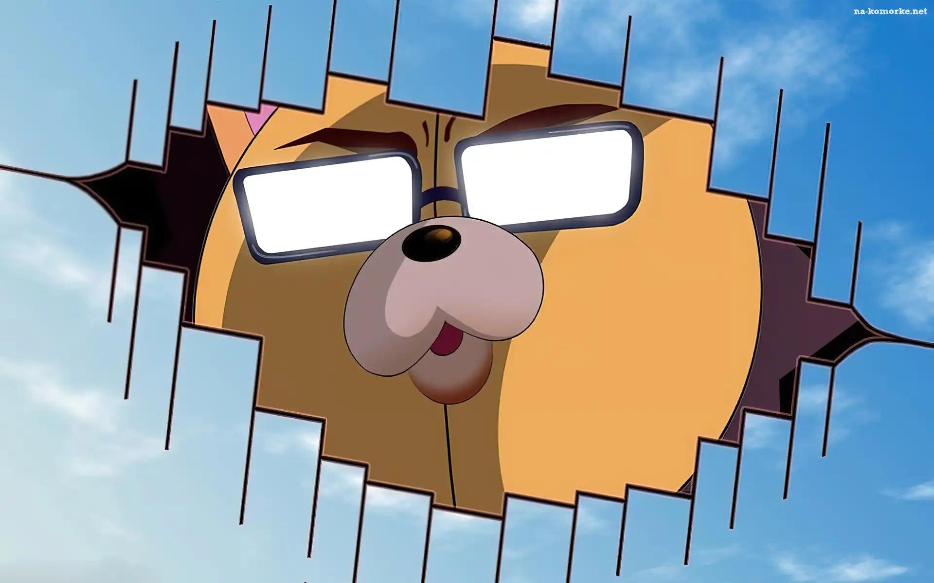 Niebo, Dziura, Kon, Okulary