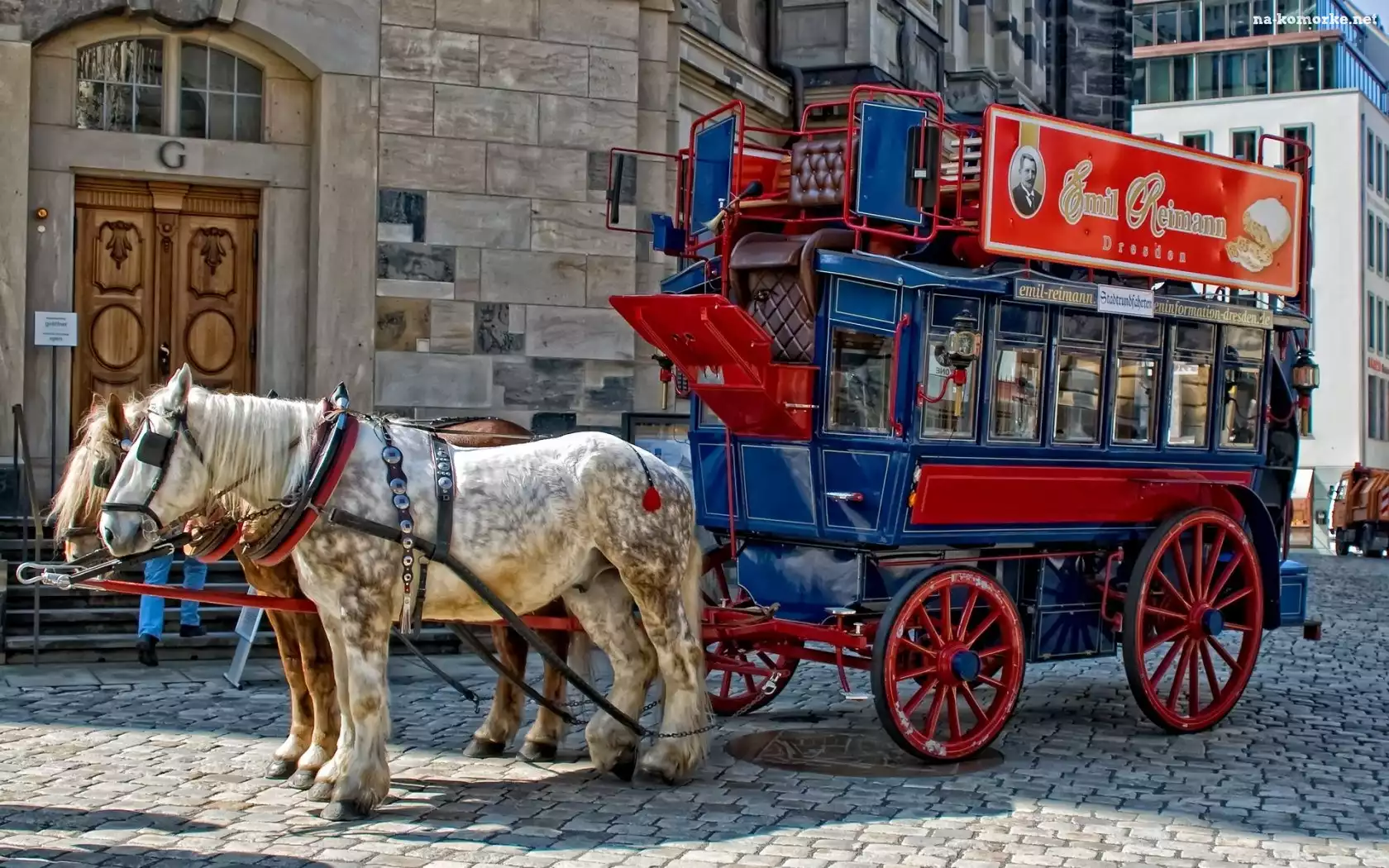 Konie, Miasta, Wóz, Rynek