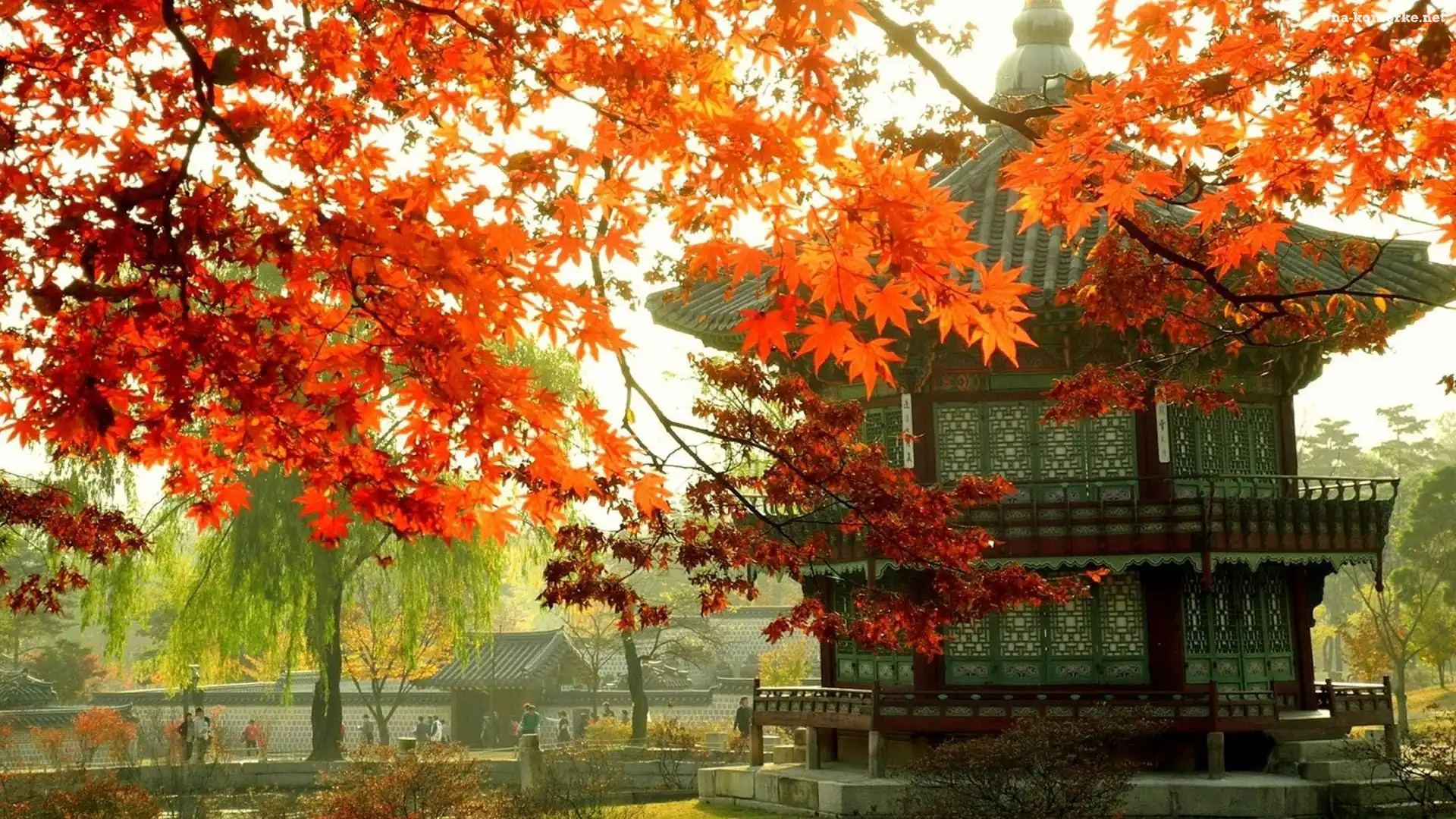 Korea, Pałacyk, Gałęzie, Jesień, Seul