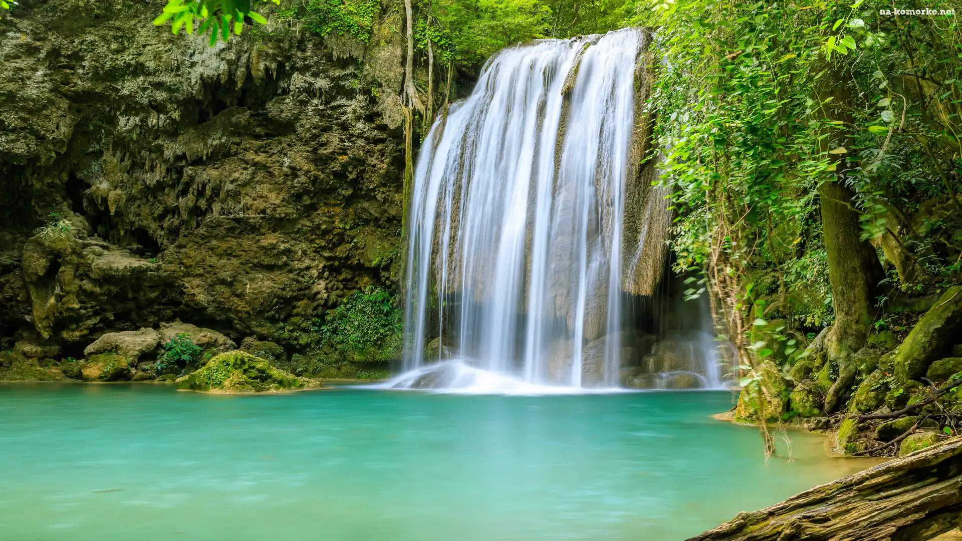 Drzewo, Prowincja Kanchanaburi, Rośliny, Wodospad, Park Narodowy Erawan, Tajlandia, Korzenie, Erawan Waterfall