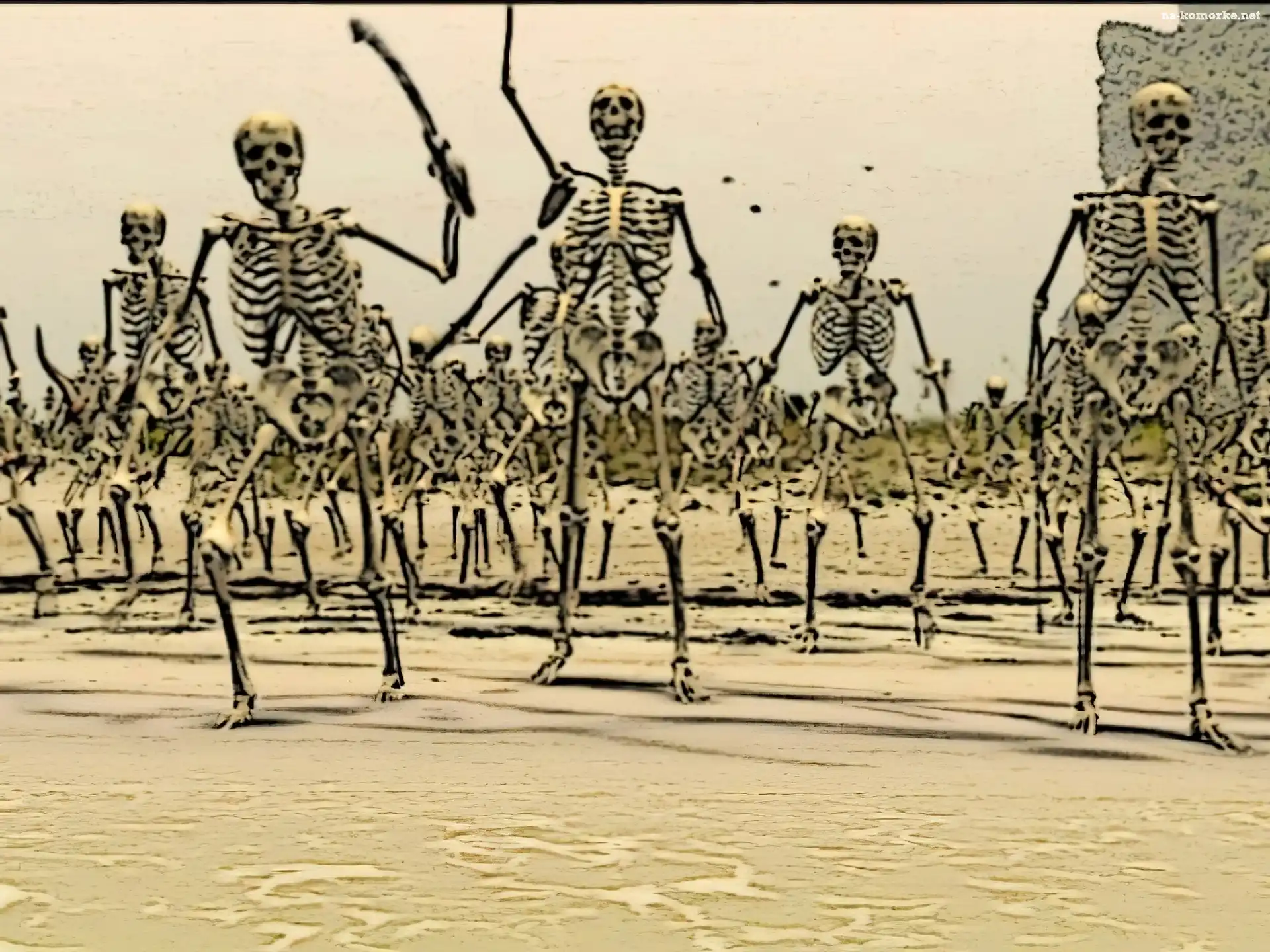 Halloween, kościom trupy
