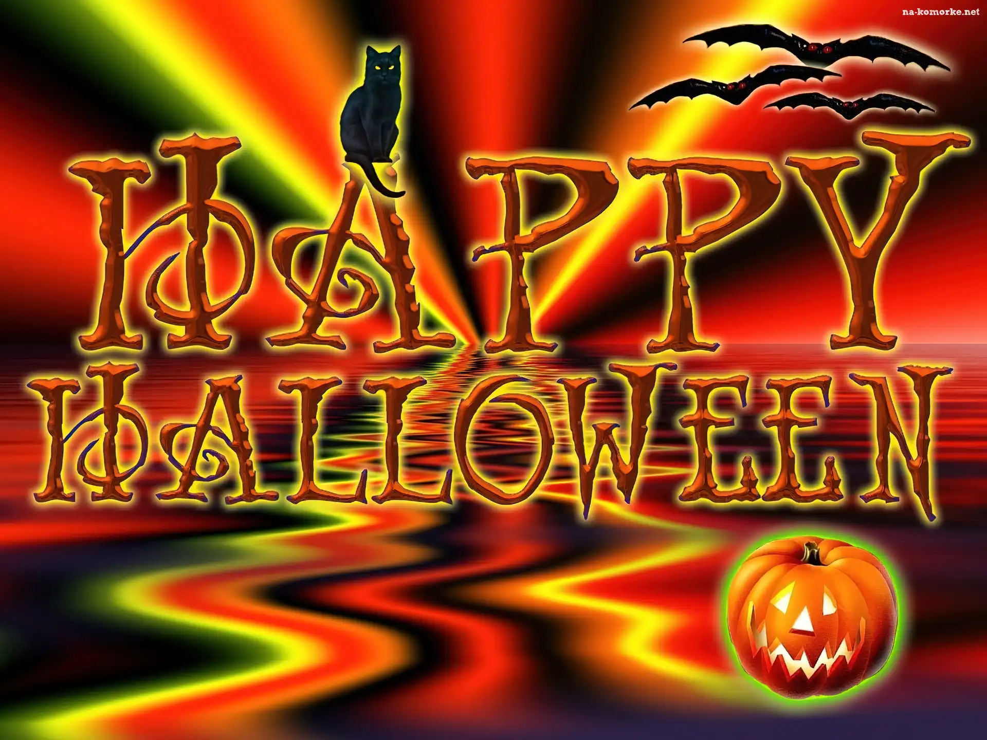 Halloween, Kot, dynia