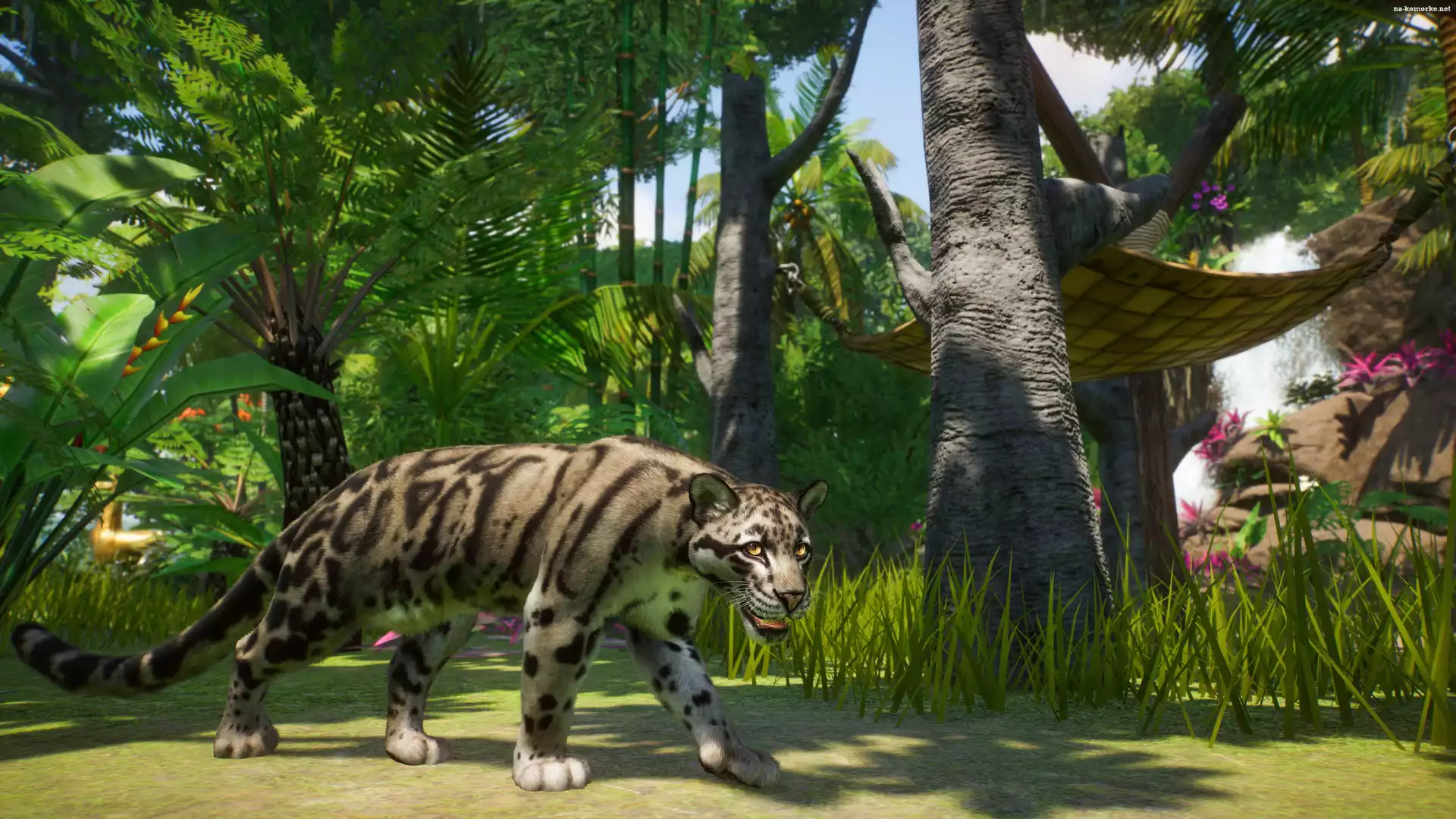 Dziki kot, Planet Zoo, Gra