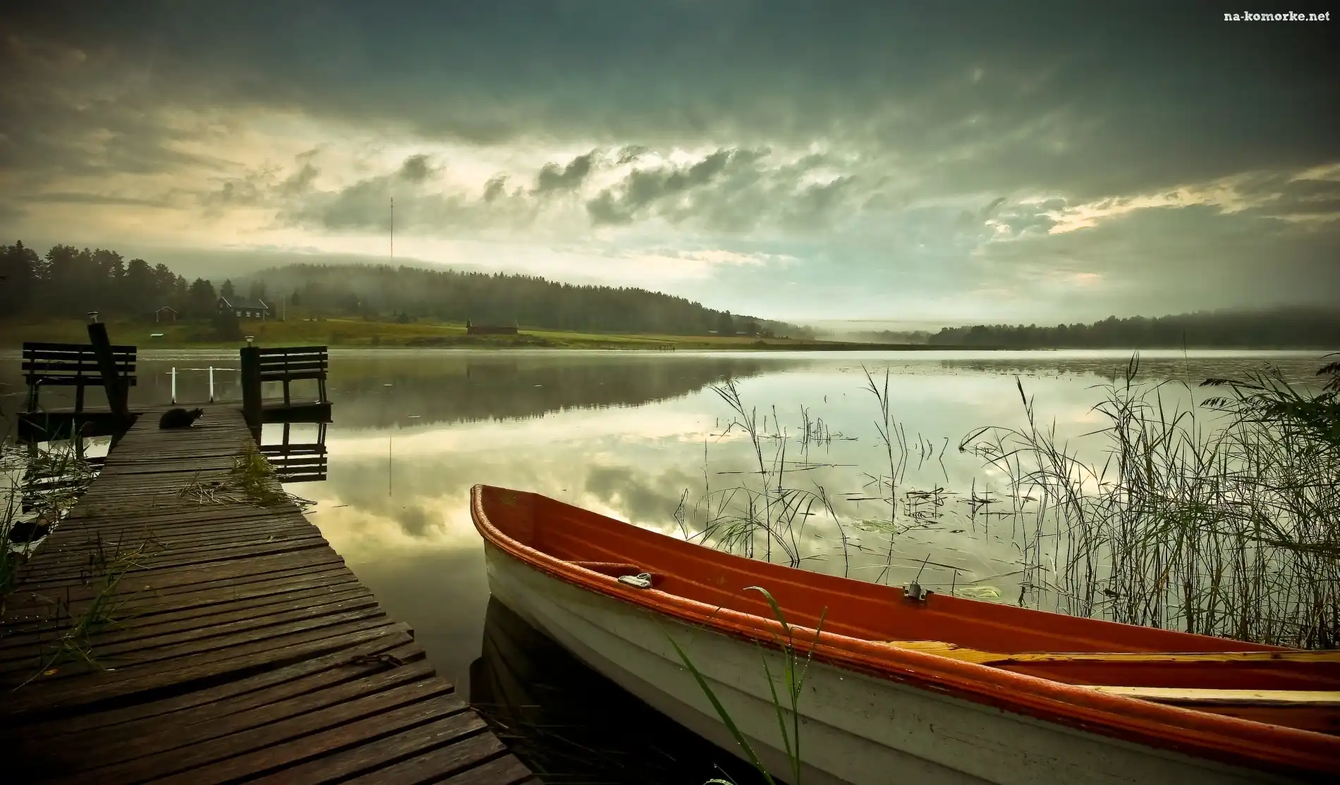 Kot, Jezioro, Pomost, Łódź