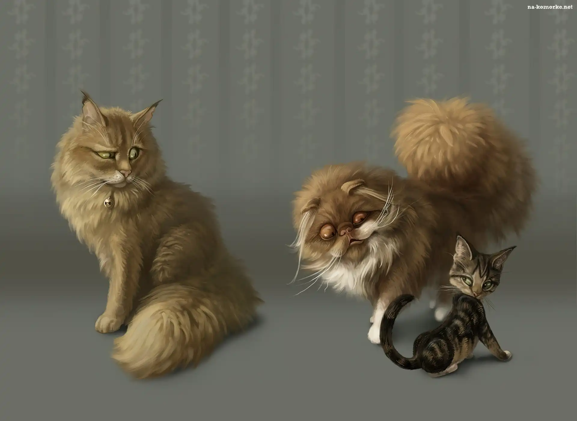 Trzy, Grafika, Koty