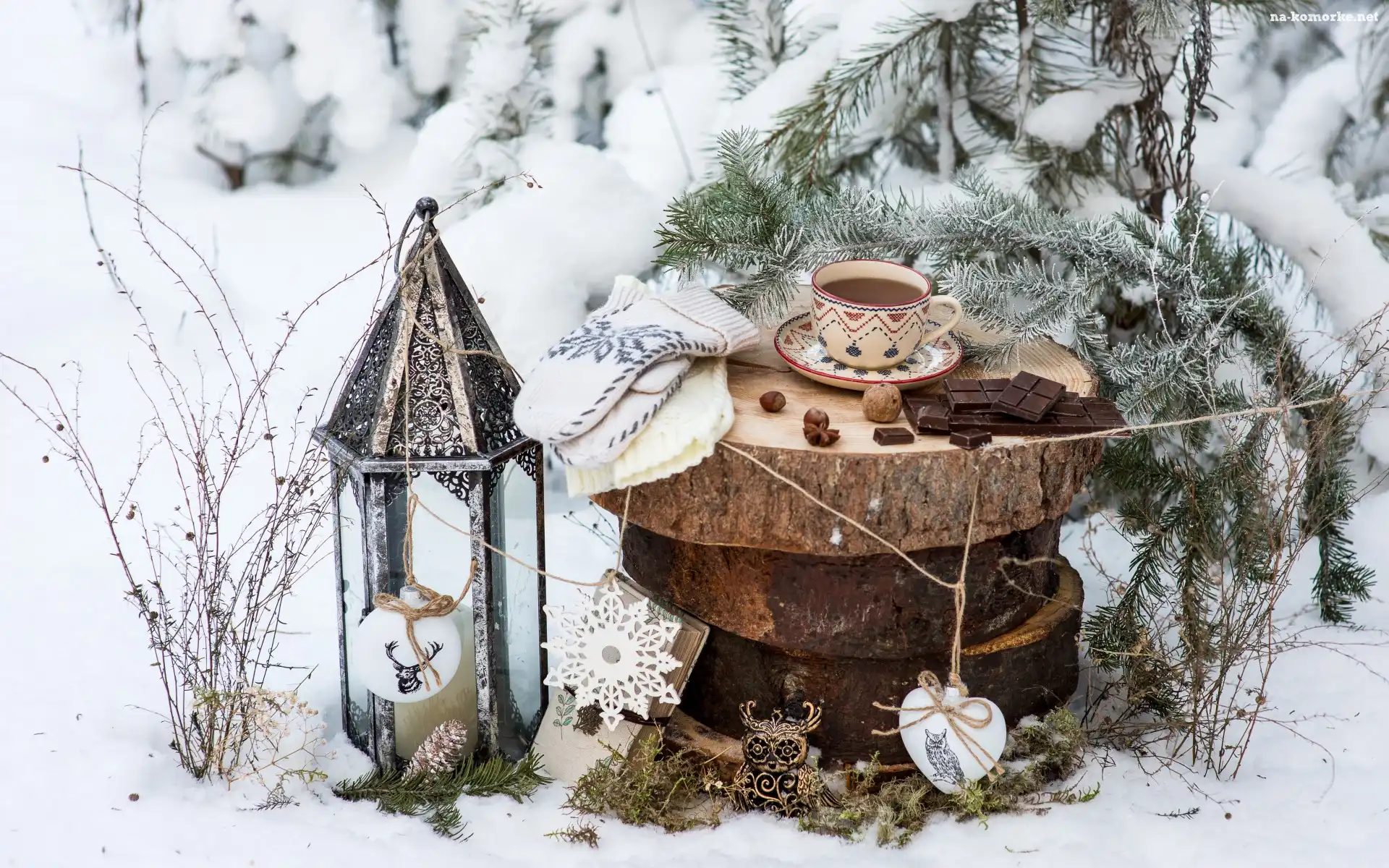 Krążki, Kompozycja, Świąteczna, Śnieg, Filiżanka, Zima, Pnia, Rośliny, Iglak, Lampion, Herbata, Rękawiczki, Czekolada