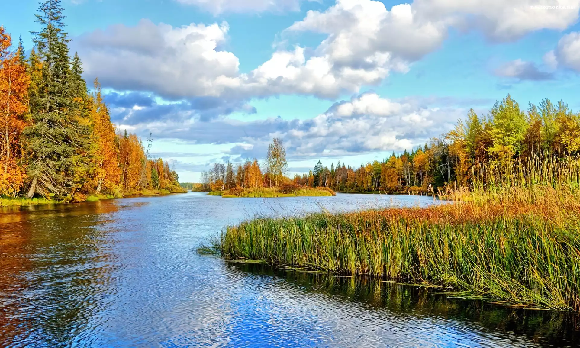 Kręta, Chmury, Rzeka, Las