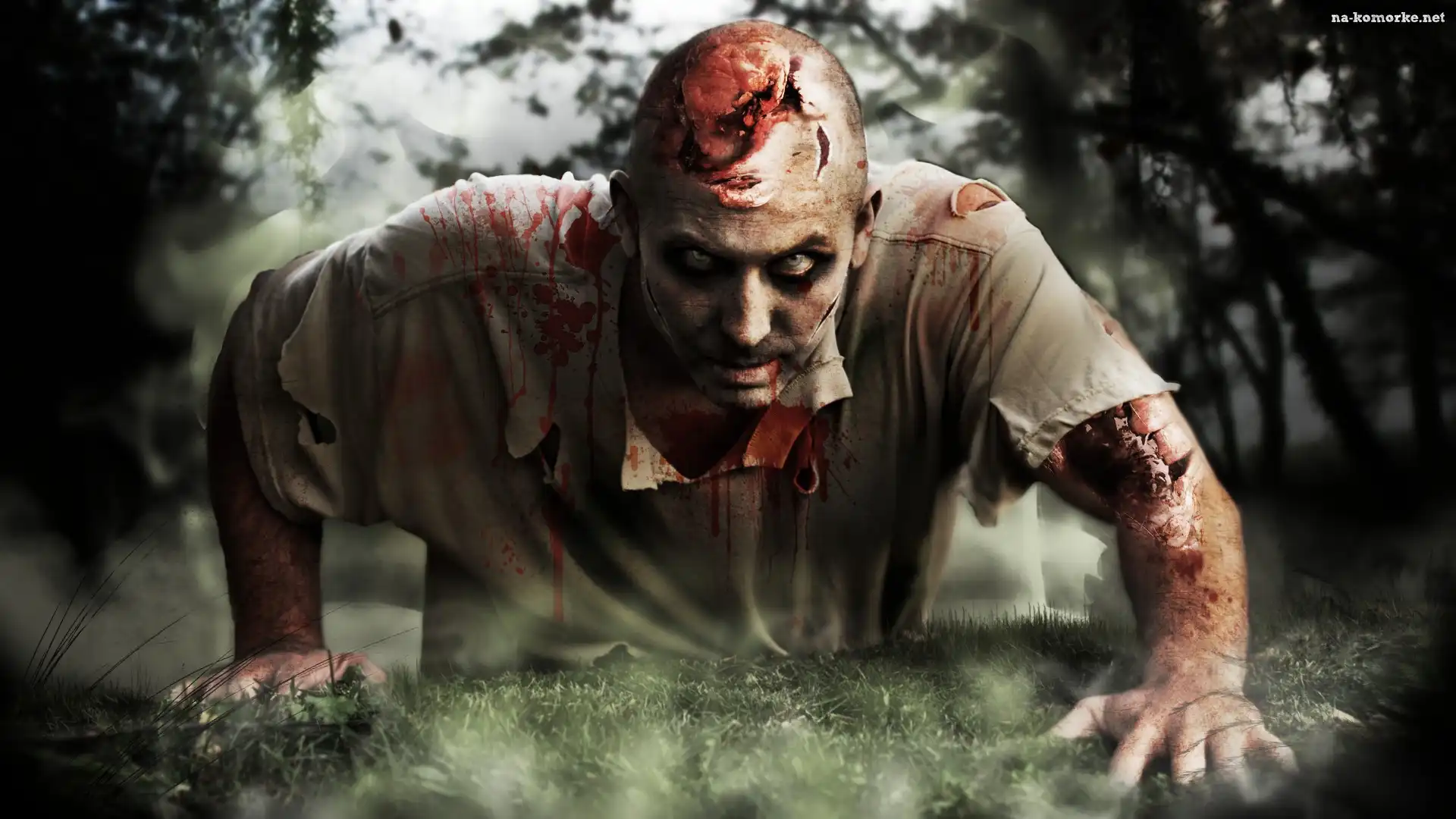 Zombi, krew, Las
