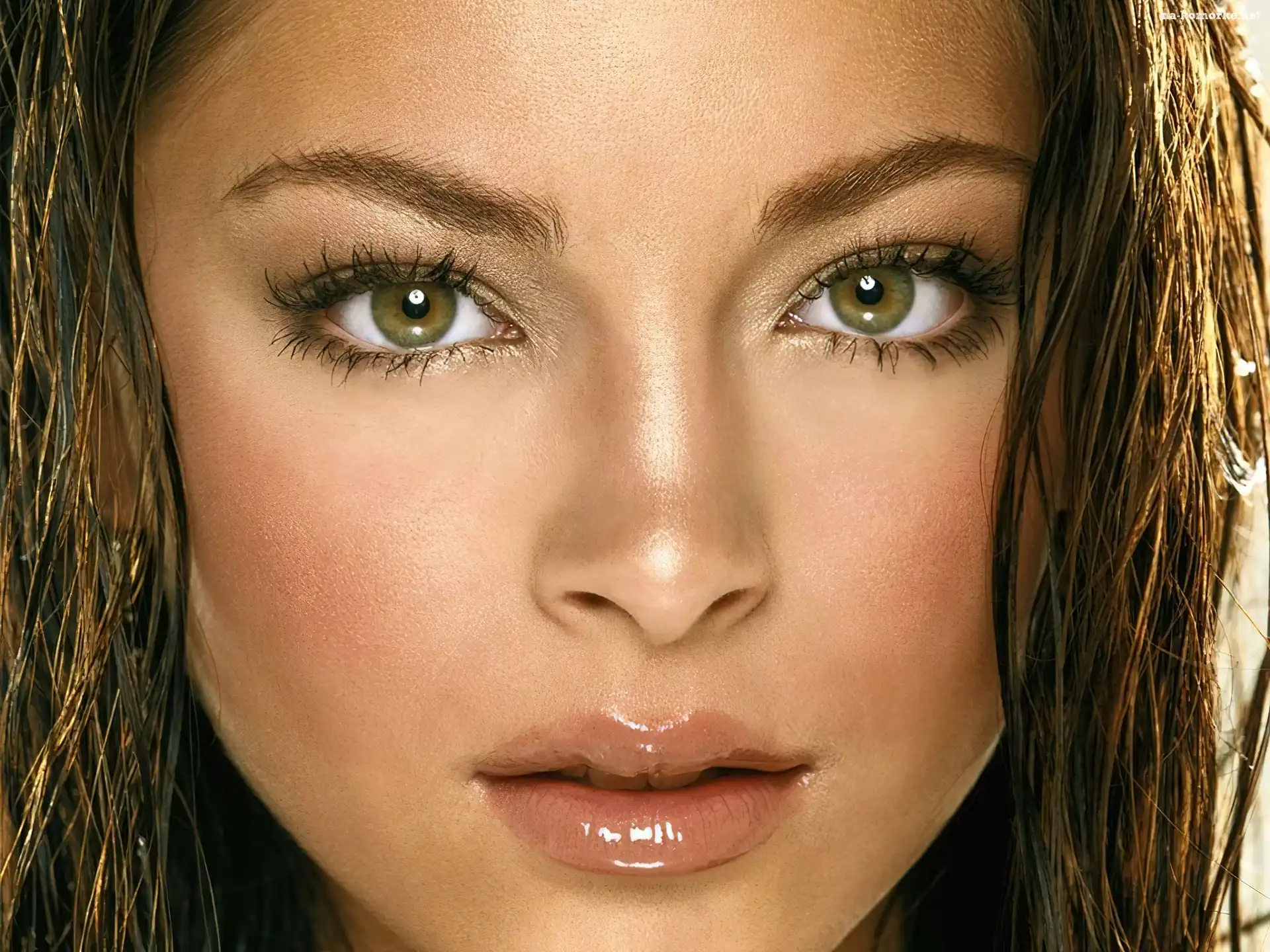 Kristin Kreuk