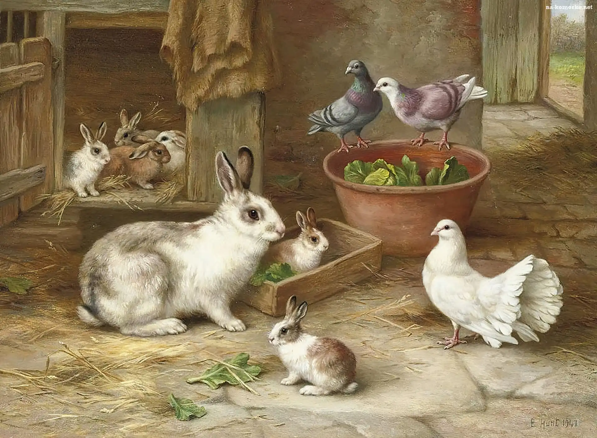 Króliki, Edgar Hunt, Gołębie, Klatka