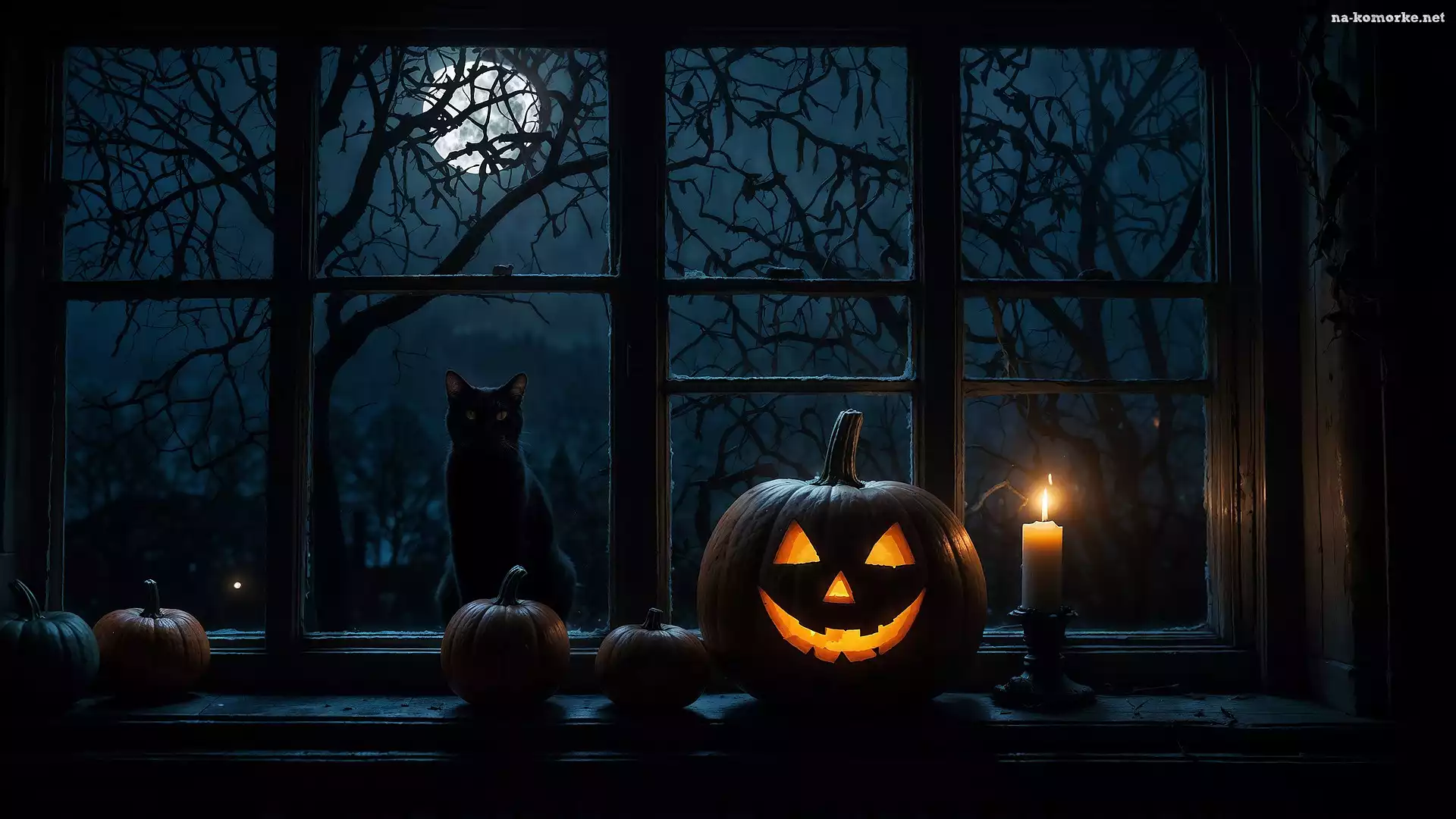 Świeca, Kot, Halloween, Księżyc, Świecąca, Dynia, Okno