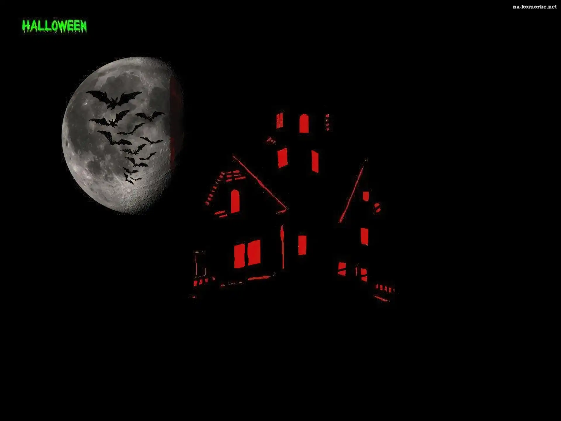 Halloween, księżyc, nietoperze
