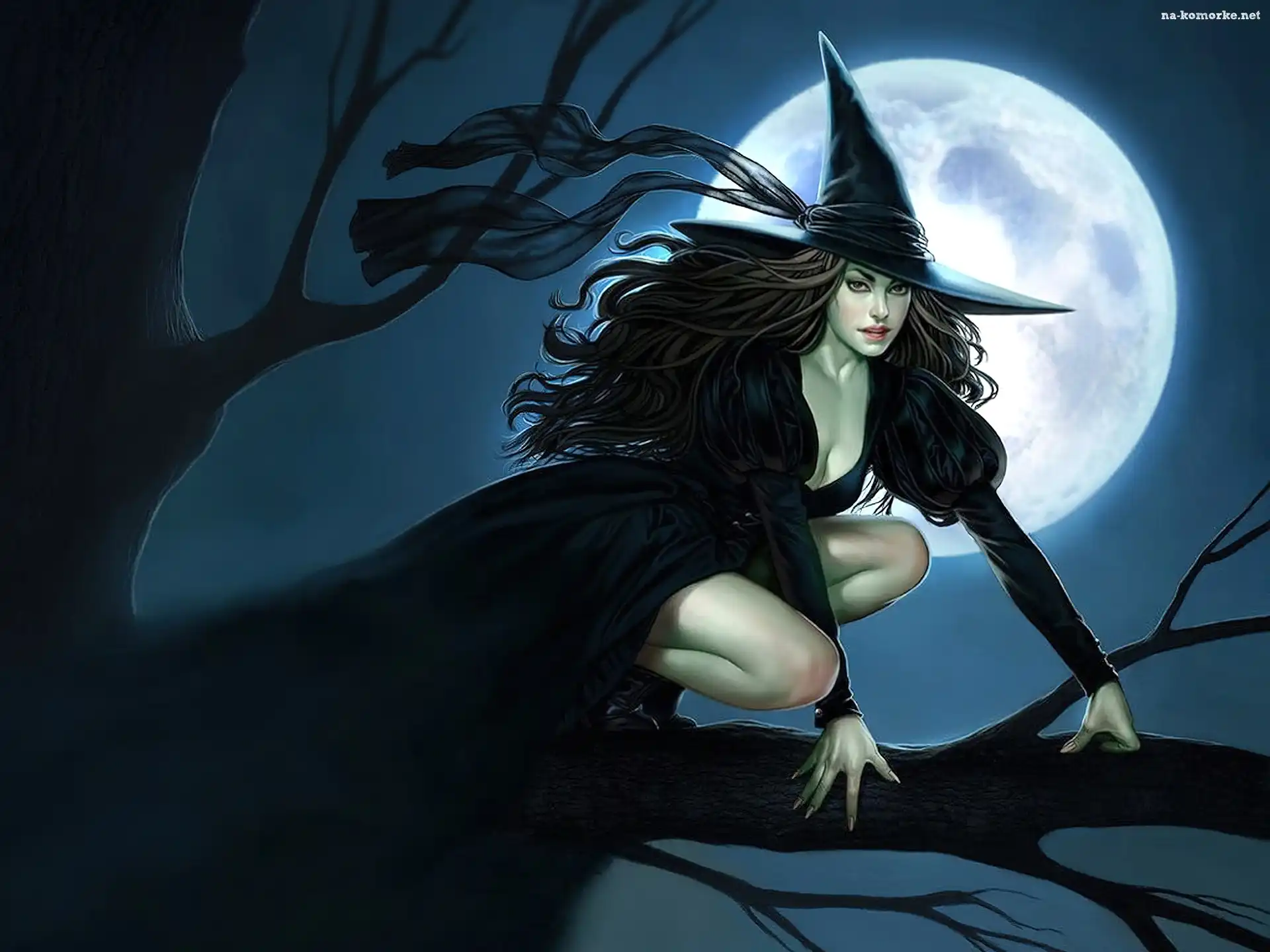 Księżyca, Halloween, Kobieta, Czarownica, Pełnia