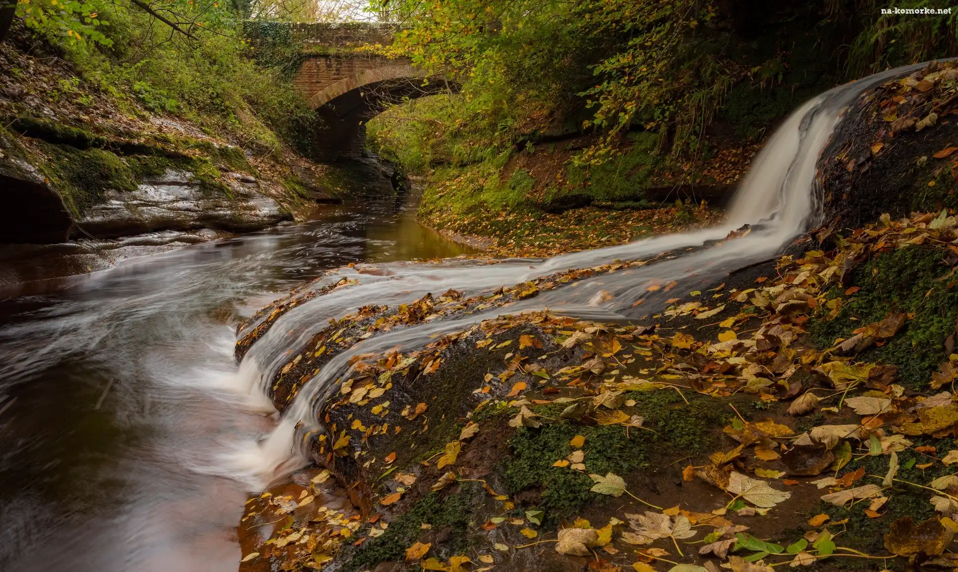 Las, Kumbria, Anglia, Most, Rzeka River Gelt, Drzewa