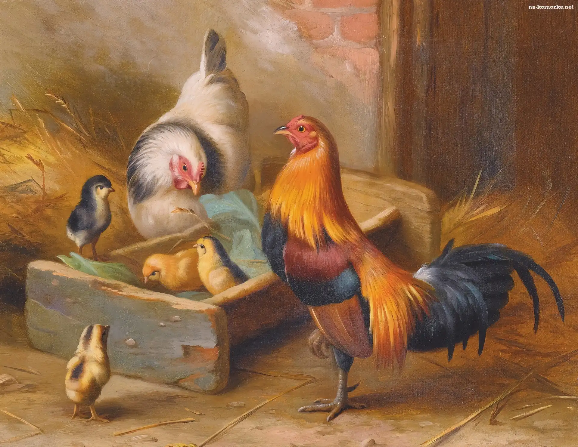 Kogut, Edgar Hunt, Kura, Kurczaczki