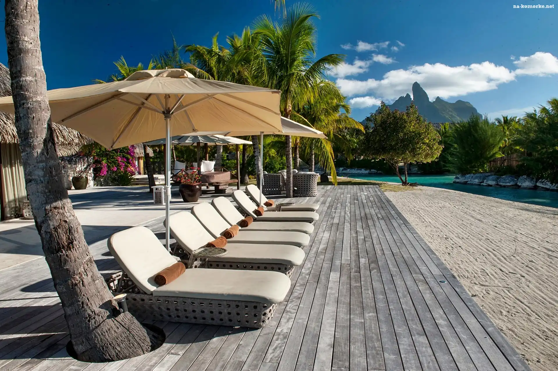 Palmy, Kurort, St Regis, Bora Bora Polinezja, Góra