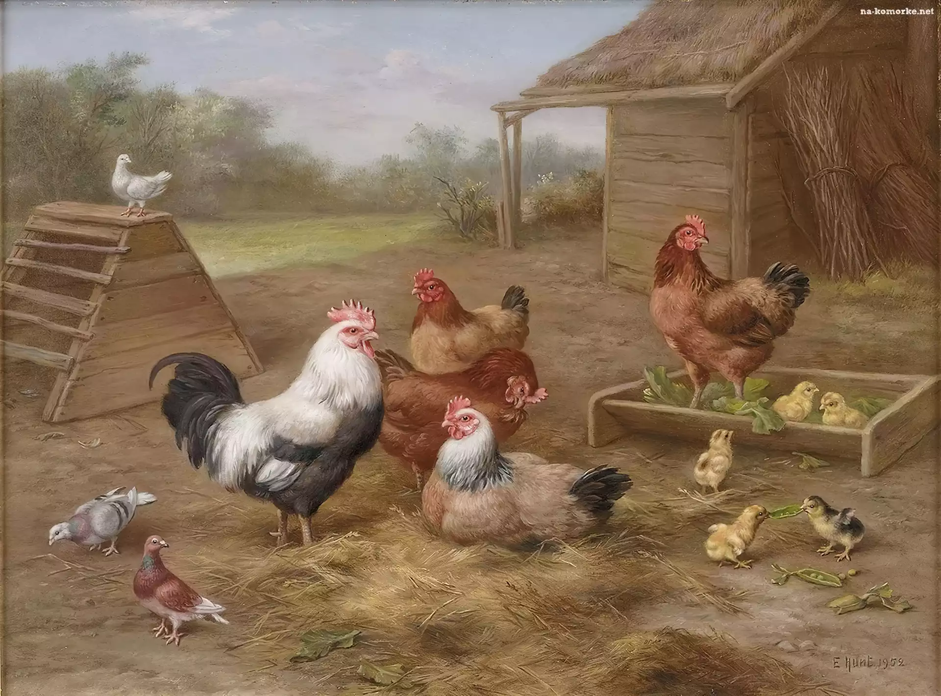 Kury, Edgar Hunt, Kurczaki, Kogut