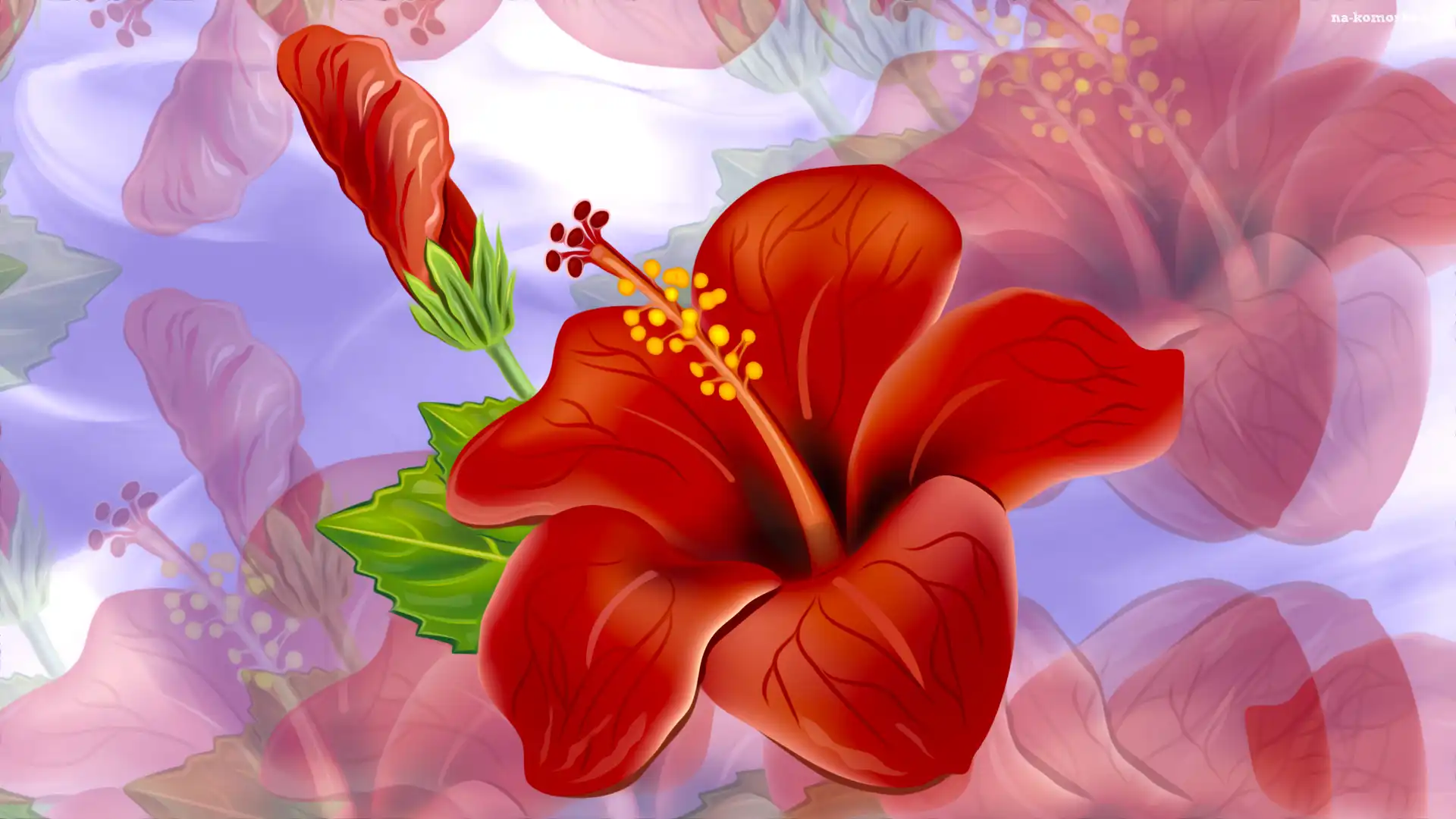 Kwiat, Grafika, Czerwony, Hibiskus