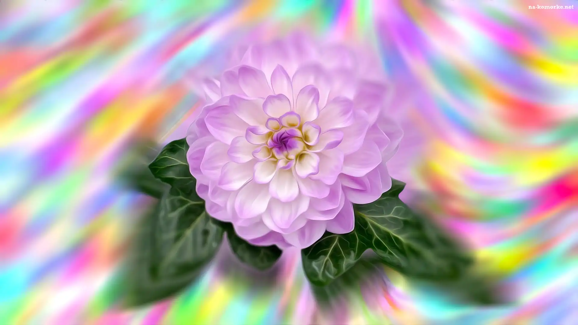 Kwiat, Grafika Farba olejna, Dalia, Rozmycie