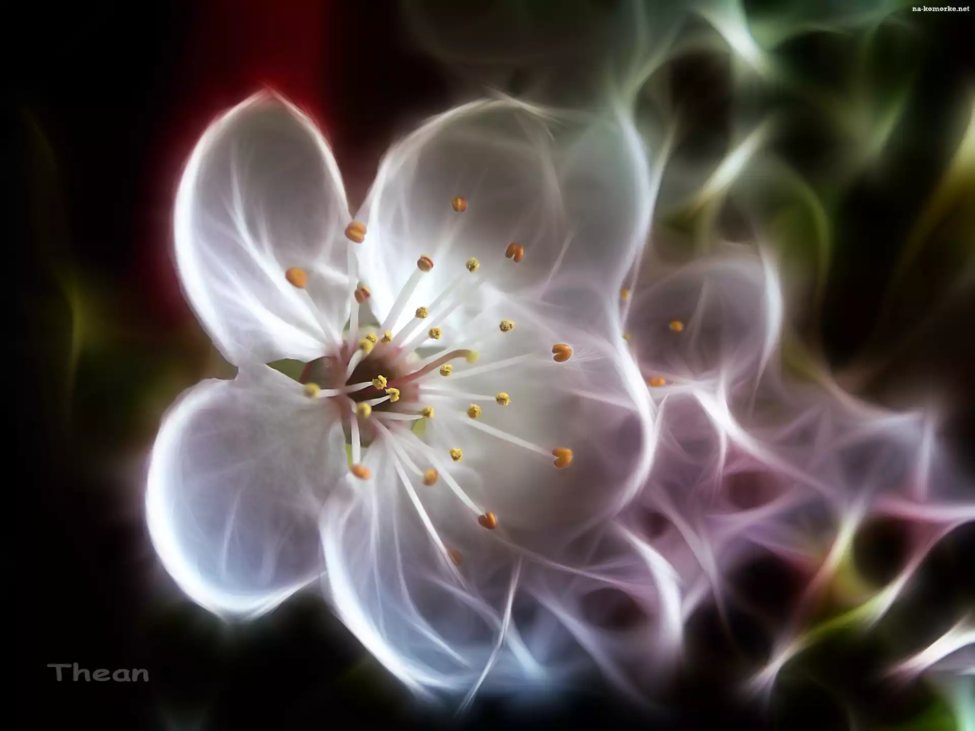 Kwiat, Fractalius, Drzewo, Owocowe