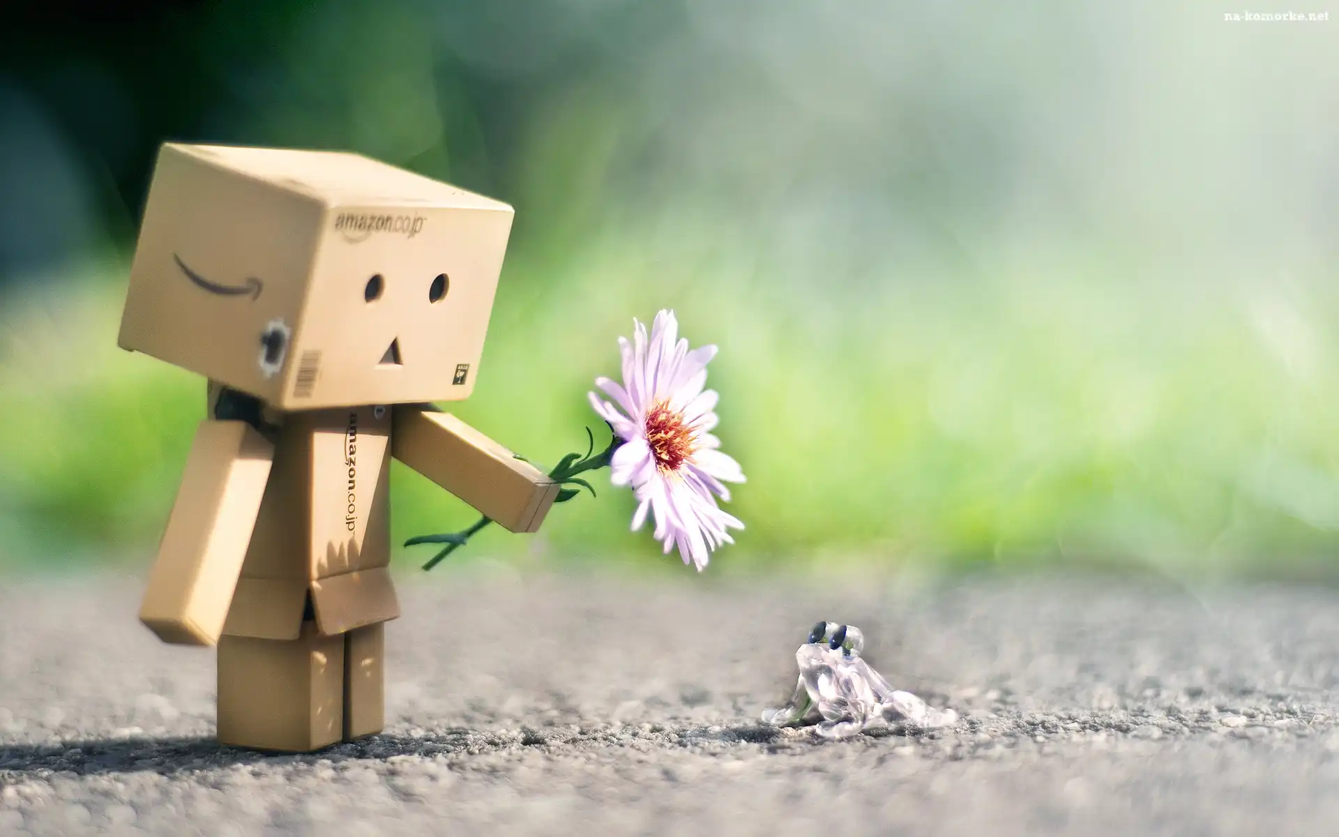Kwiat, Danbo, Kartonowy, Ludzik, Żaba