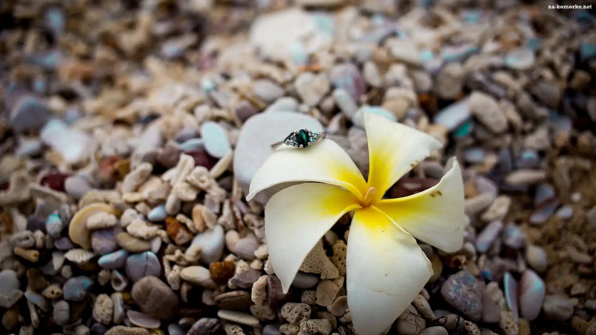 Kwiat, Pierścionek, Plumeria, Kamienie