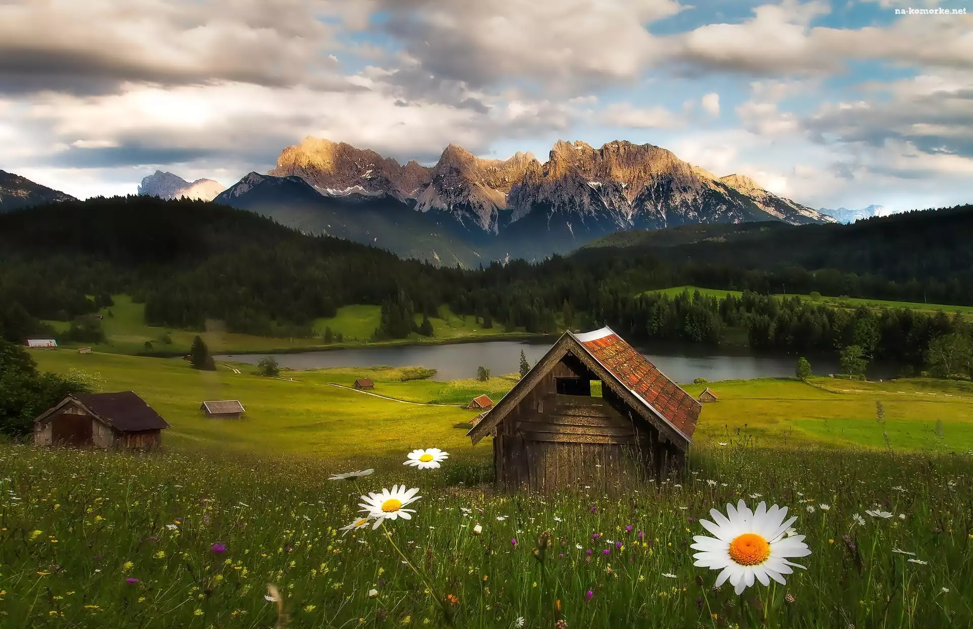 Domki, Bawaria, Lasy, Niemcy, Góry Alpy, Jezioro Geroldsee, Łąka, Kwiatki