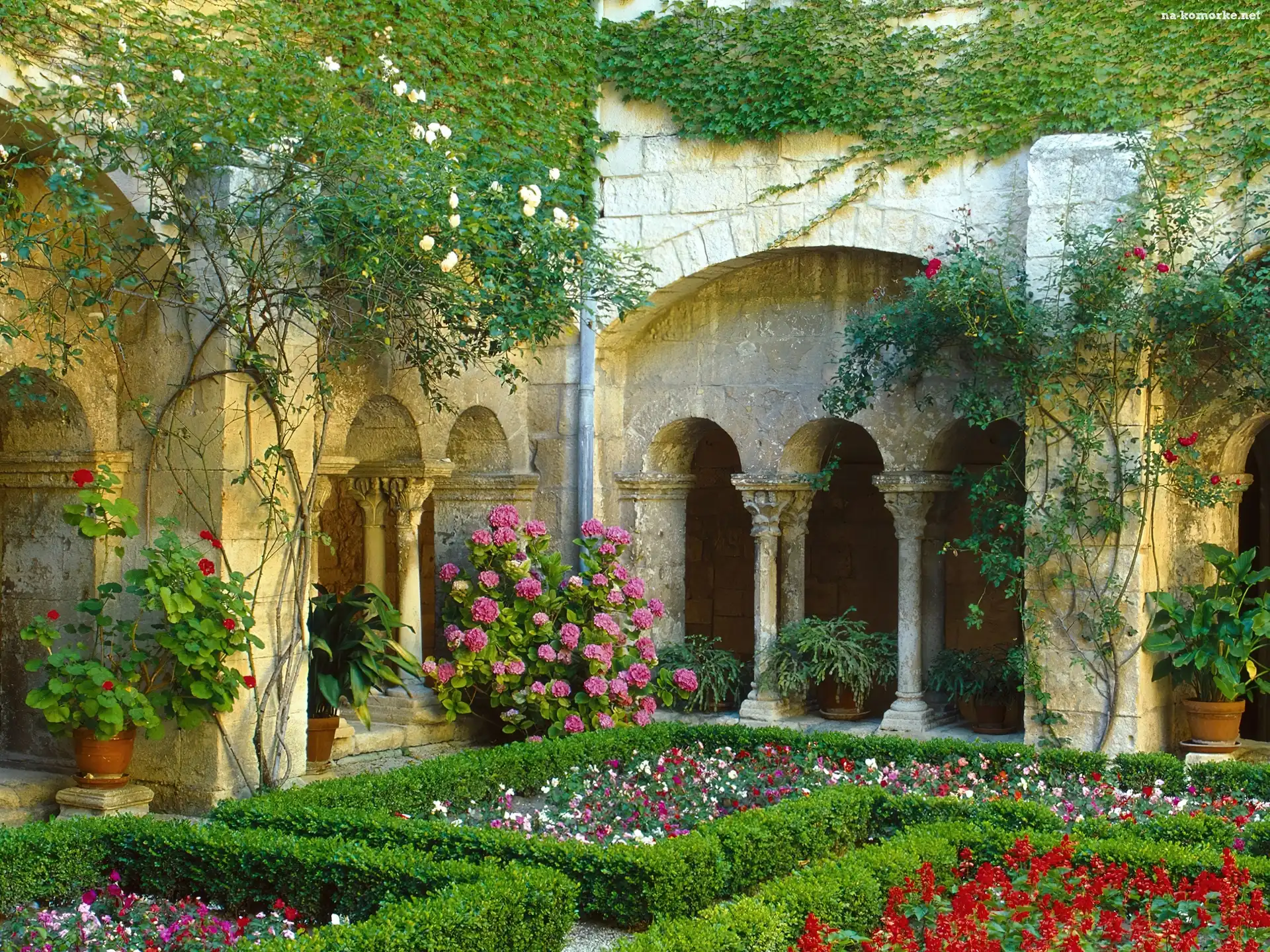 Kwiatki, Cloister, Francja, Ogród, Kolorowe