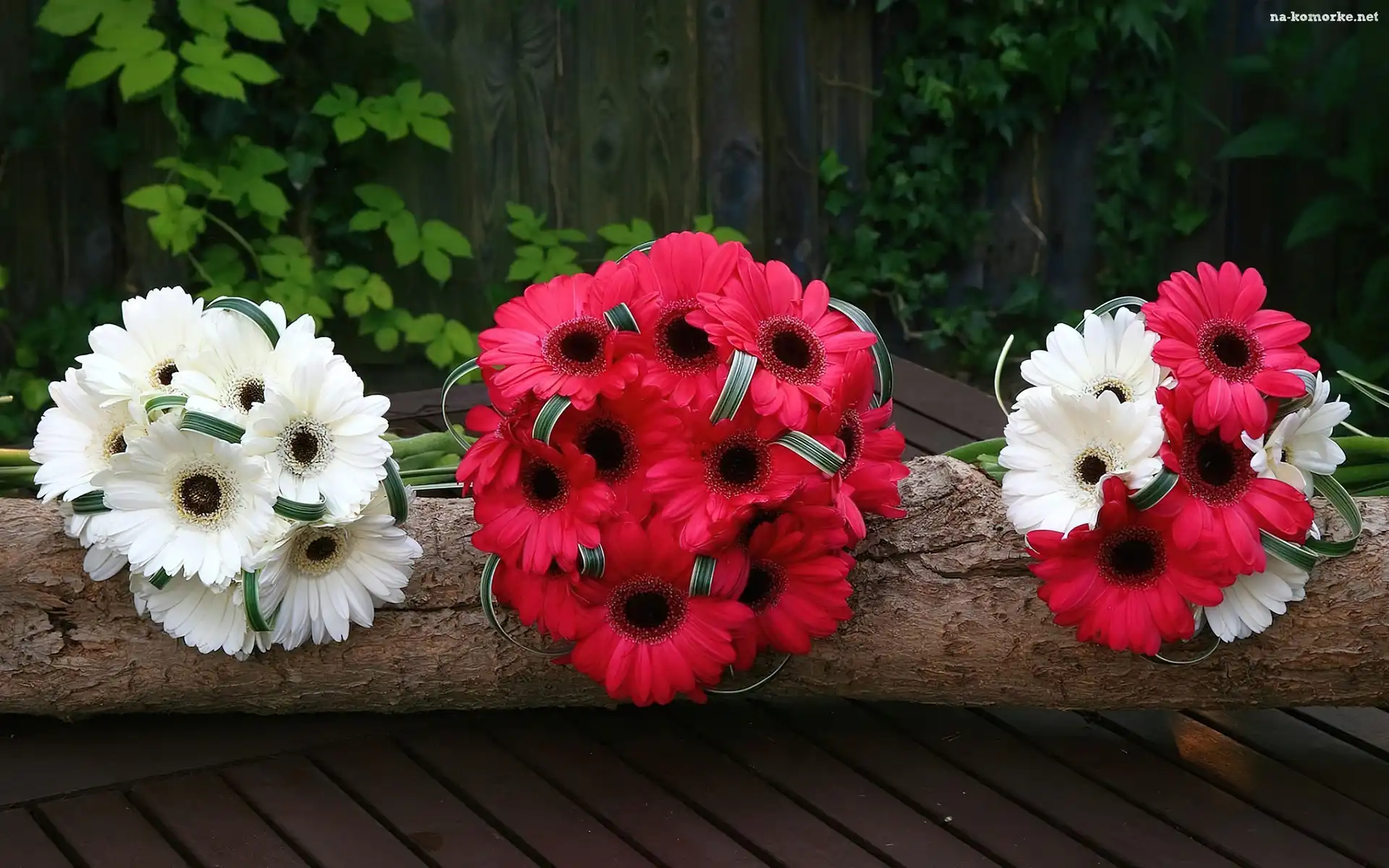 Bukiety, Kwiatów, Gerbera
