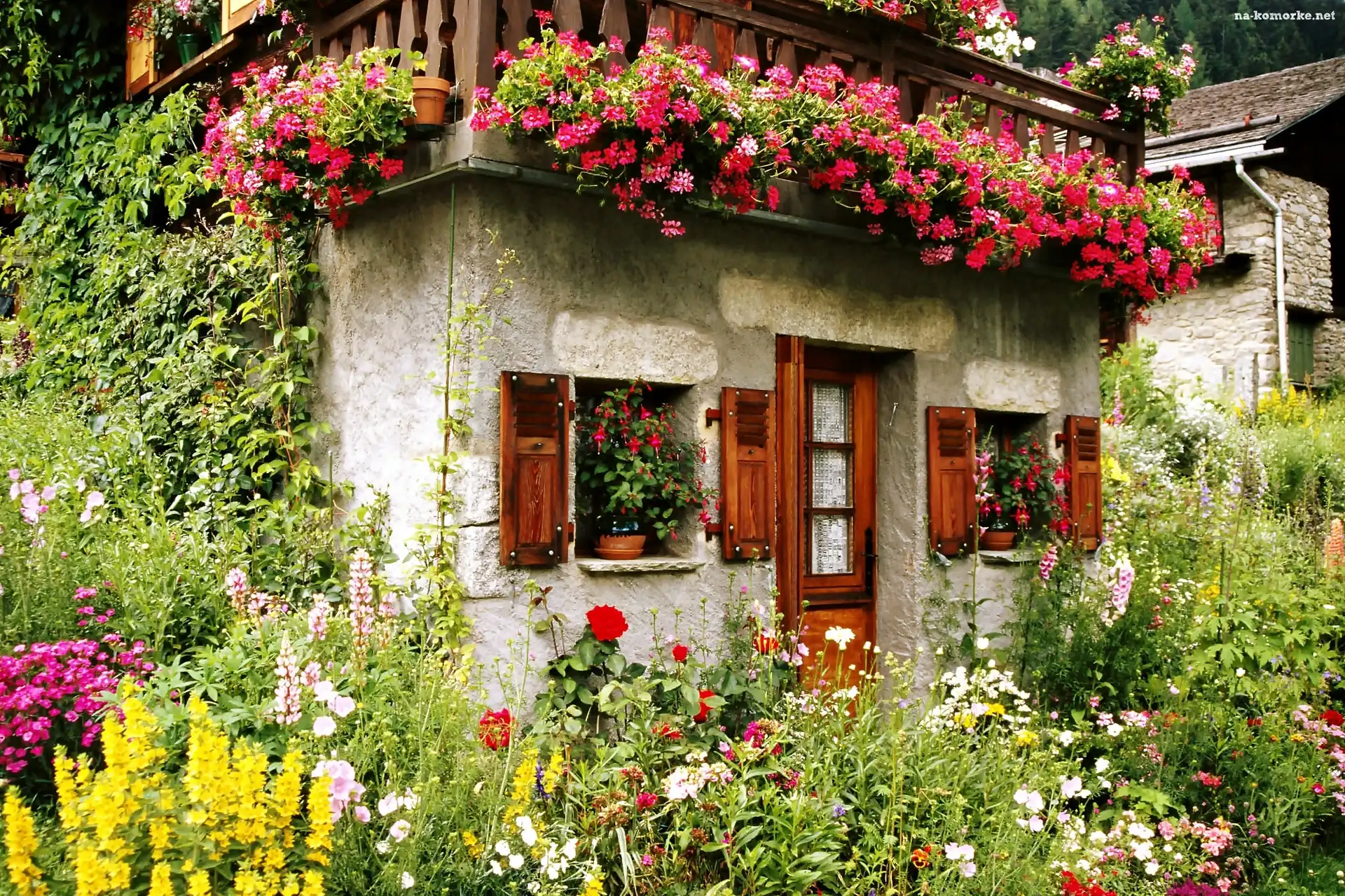Kwiatowy, Domki, Kamienne, Pelargonie, Ogródek, Bluszcz