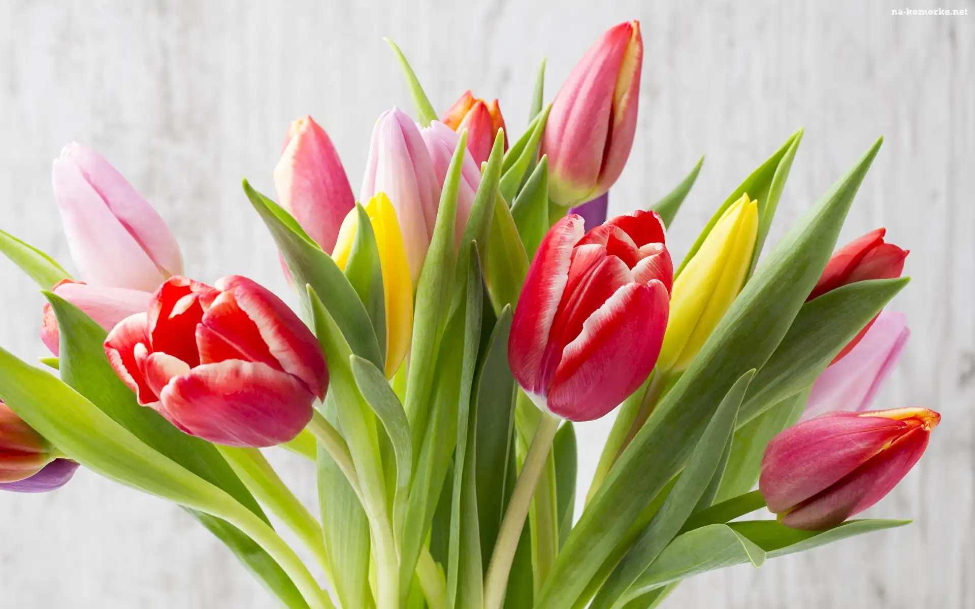 Kwiaty, Kolorowe, Bukiet, Tulipany