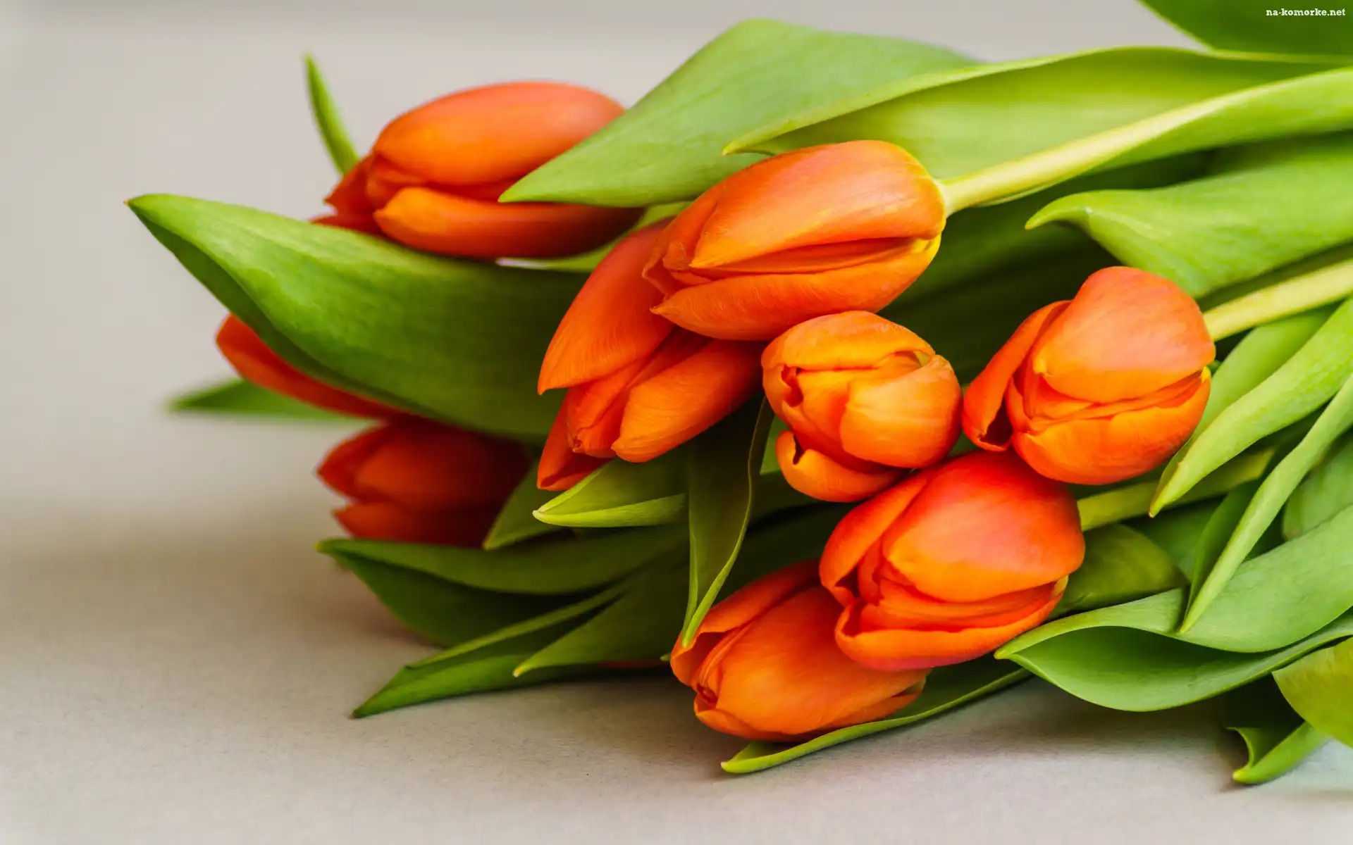 Kwiaty, Tulipany, Bukiet, Pomarańczowe
