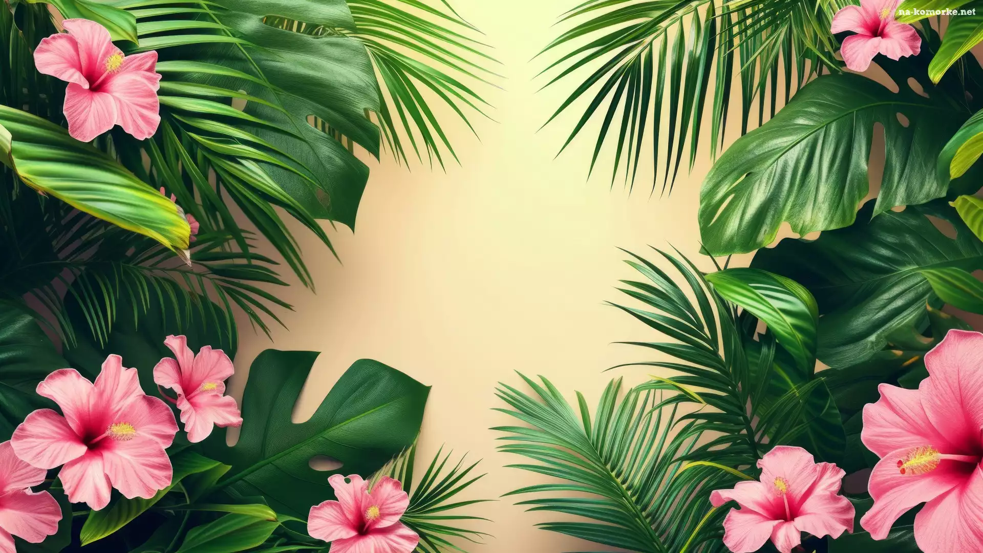 Hibiskusy, Liście, Różowe, Kwiaty