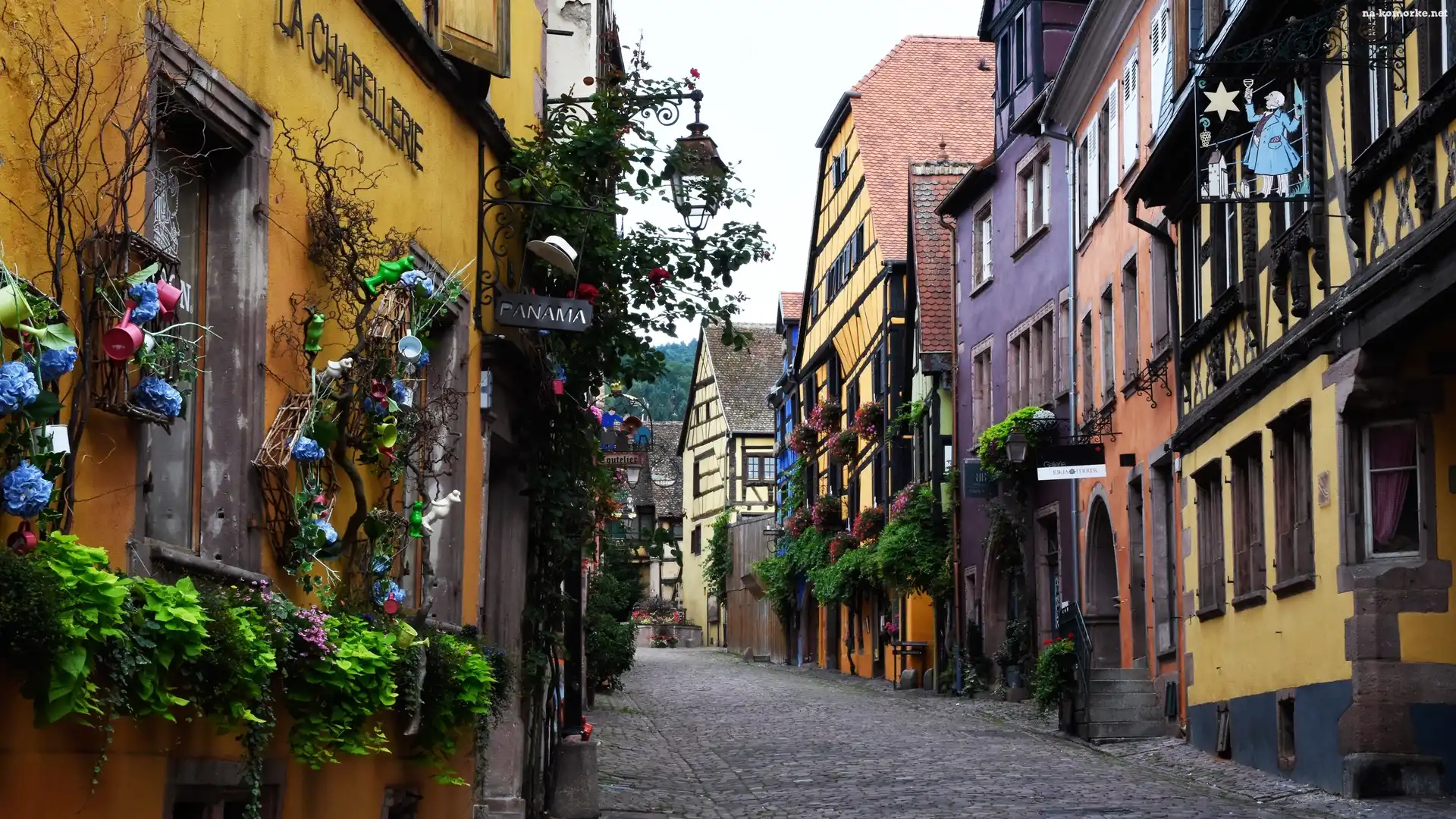 Kwiaty, Francja, Riquewihr, Kamienice, Uliczka