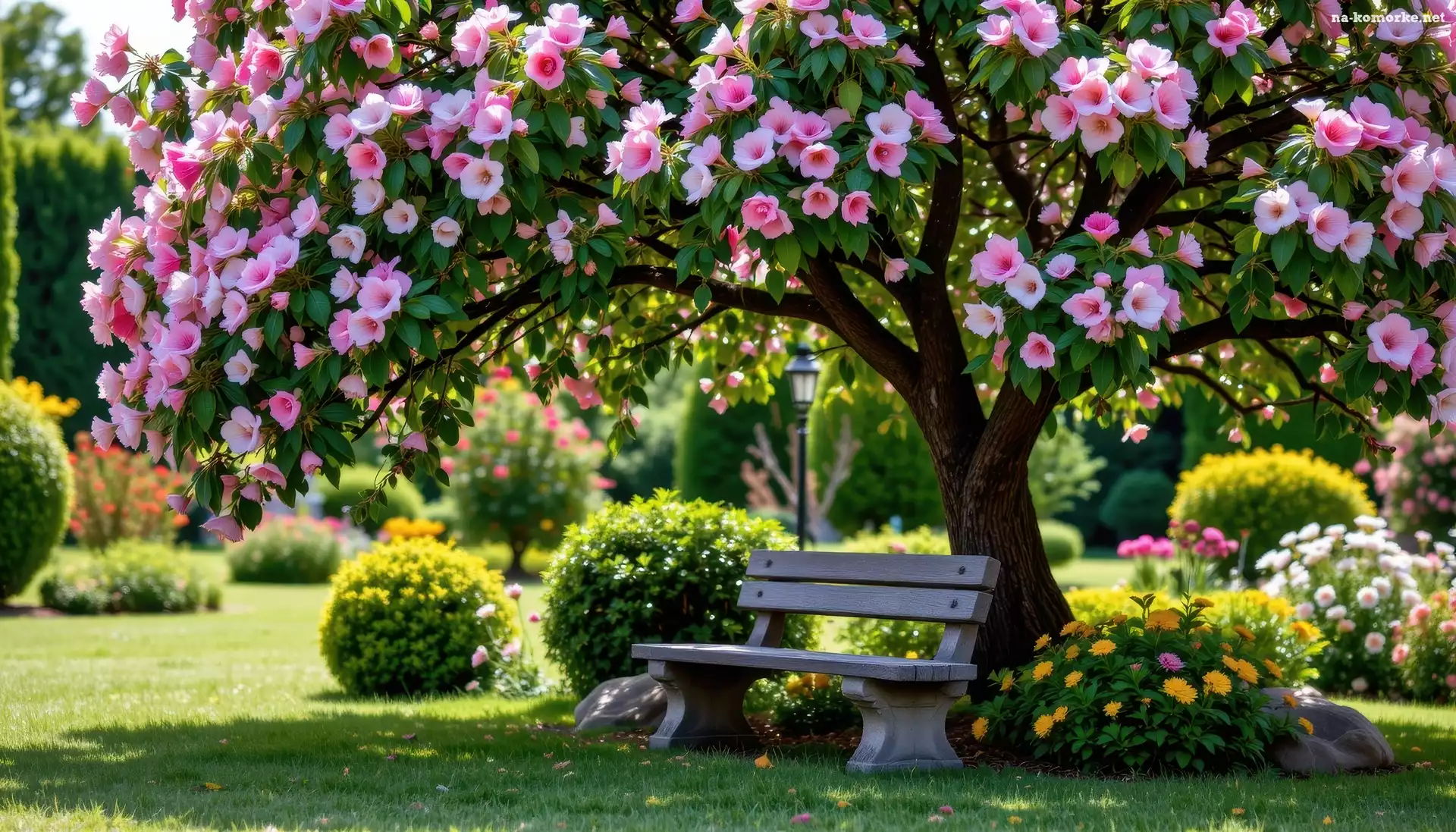 Park, Kwiaty, Ławka, Drzewa, Klomby