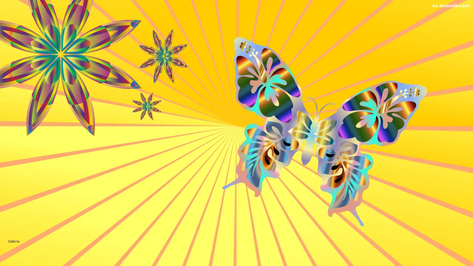 Motyl, Kwiaty, Grafika
