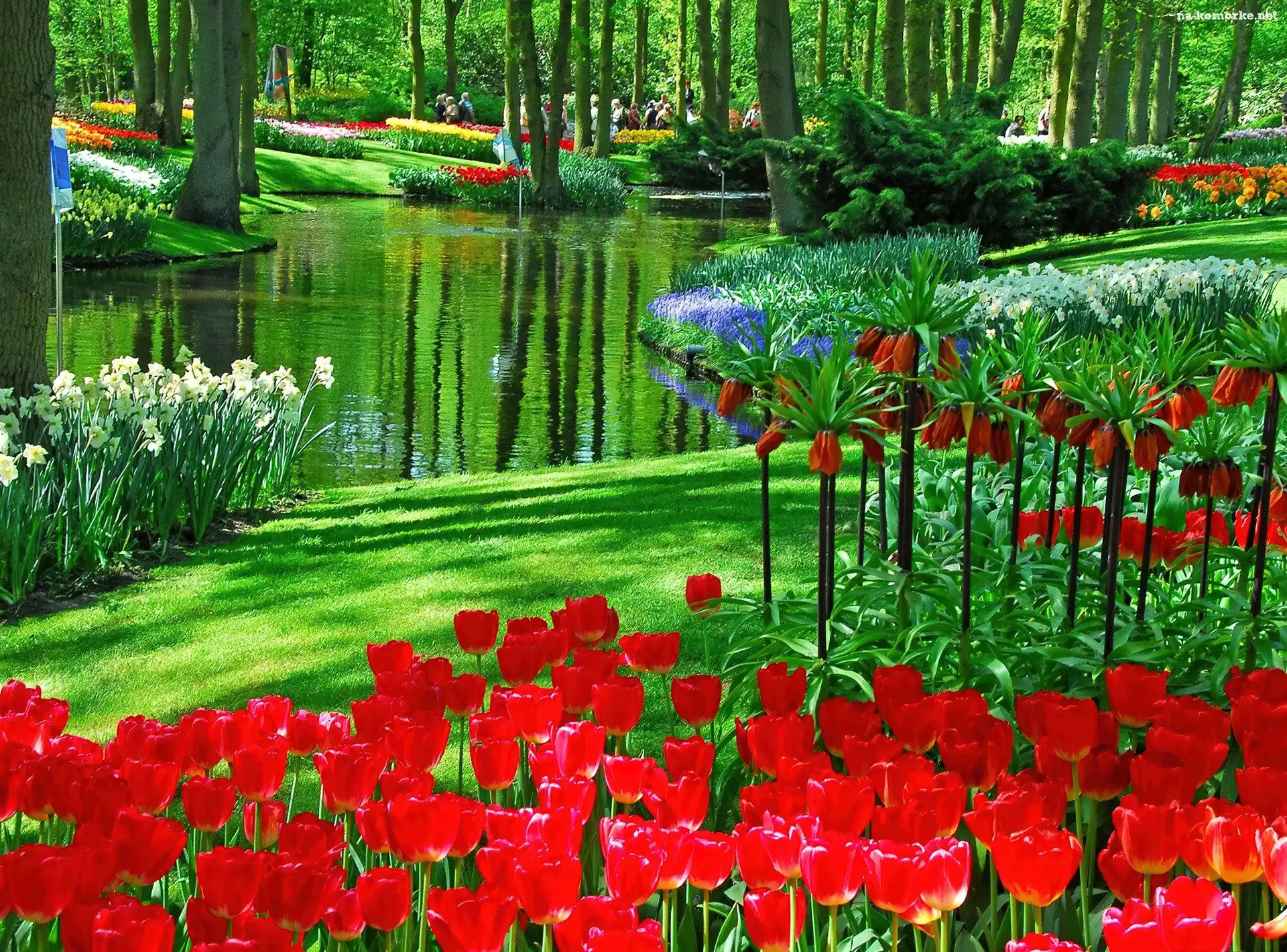 Park, Holandia, Kwiaty
