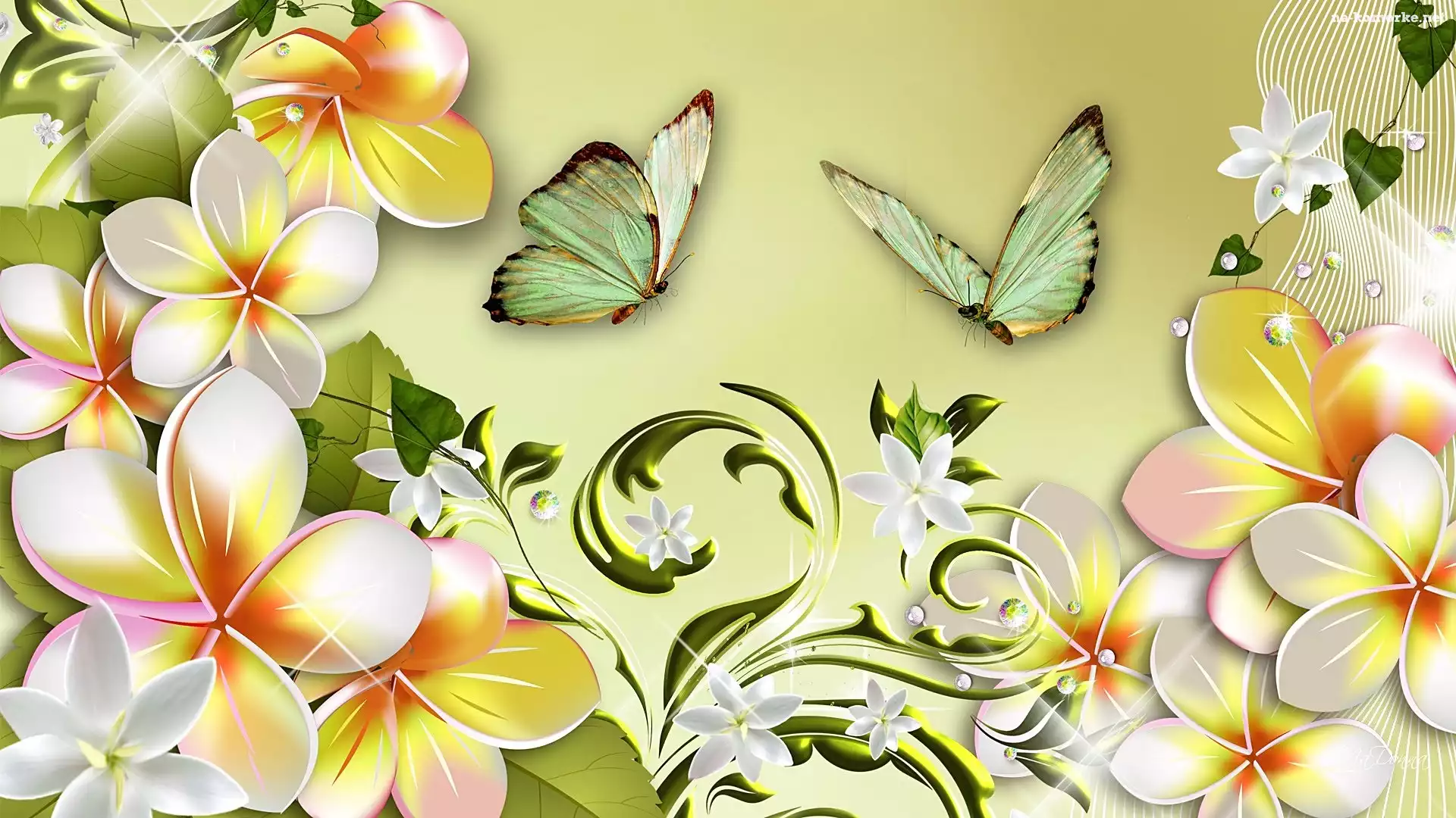 Kwiaty, Art, Plumeria, Motyle