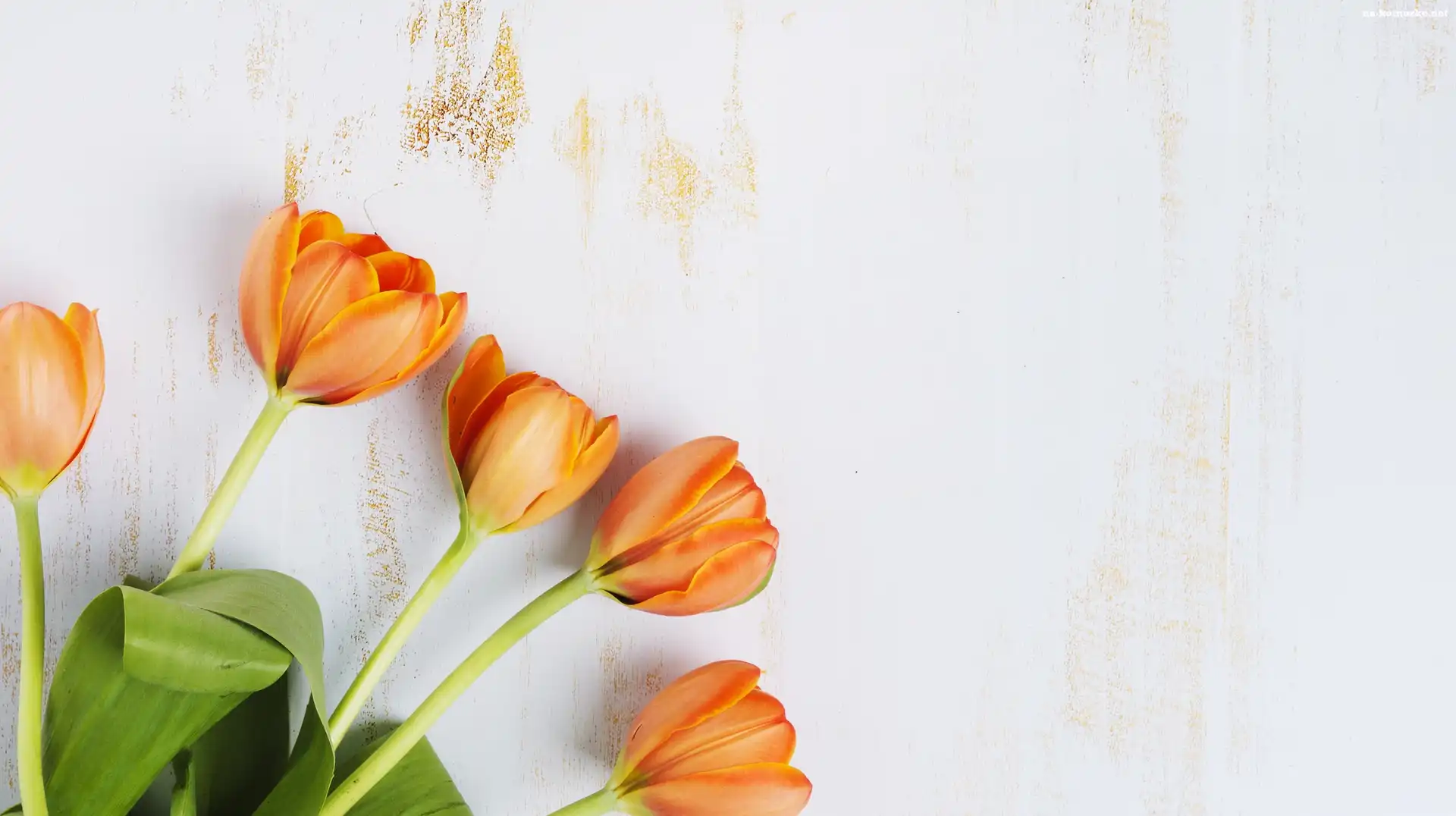 Kwiaty, Drewno, Pomarańczowe, Tulipany
