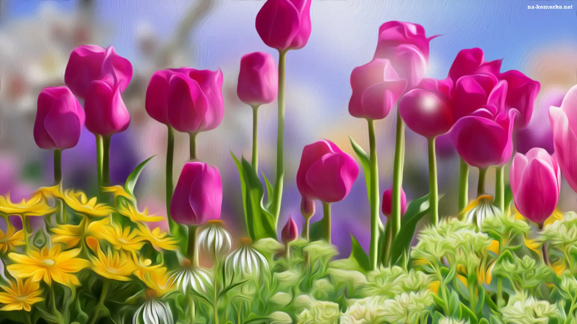 Kwiaty, Grafika, Różowe, Tulipany