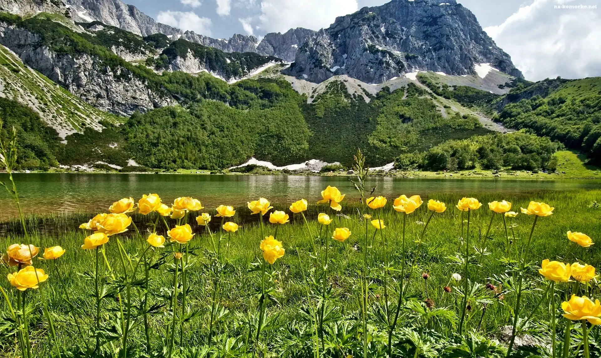 Łąka, Rzeka, Kwiaty, Góry