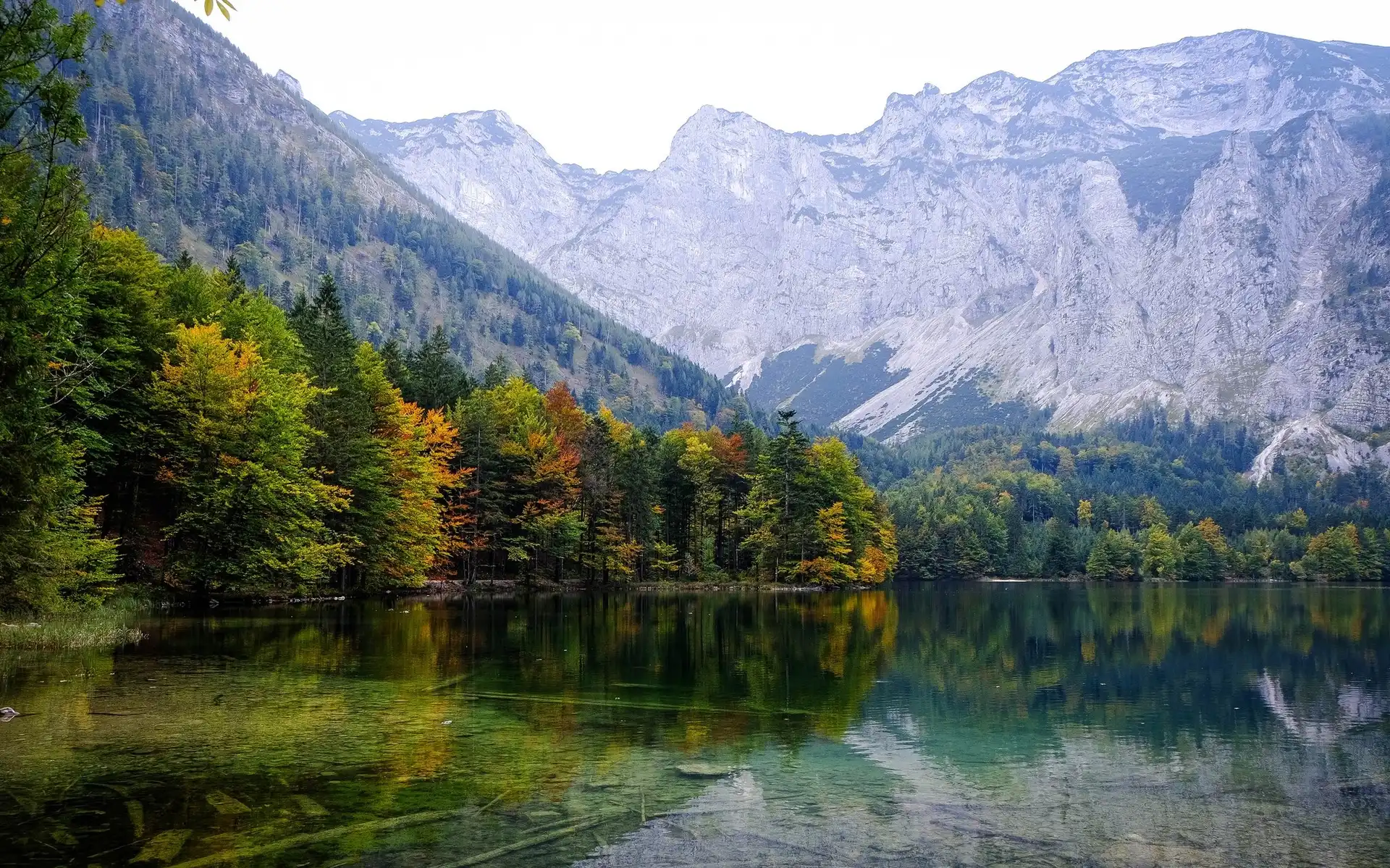 Austria, Drzewa, Odbicie, Gmina Ebensee, Jesień, Góry, Jezioro Hinterer Langbathsee
